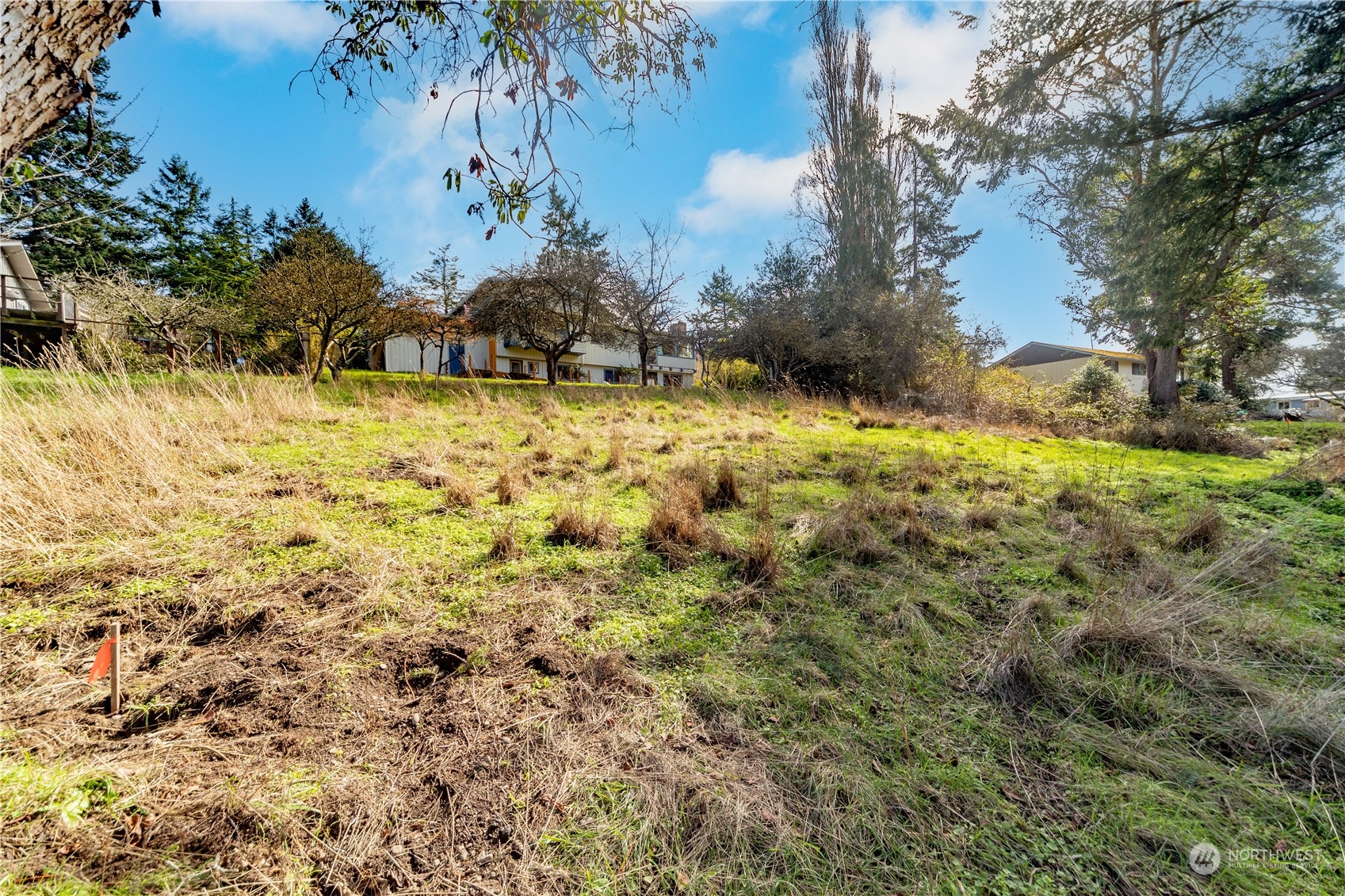 1431 Beech Street Property Photo 4