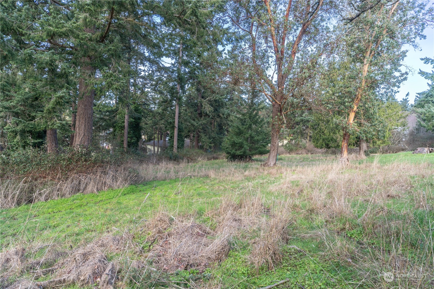 1431 Beech Street Property Photo 5