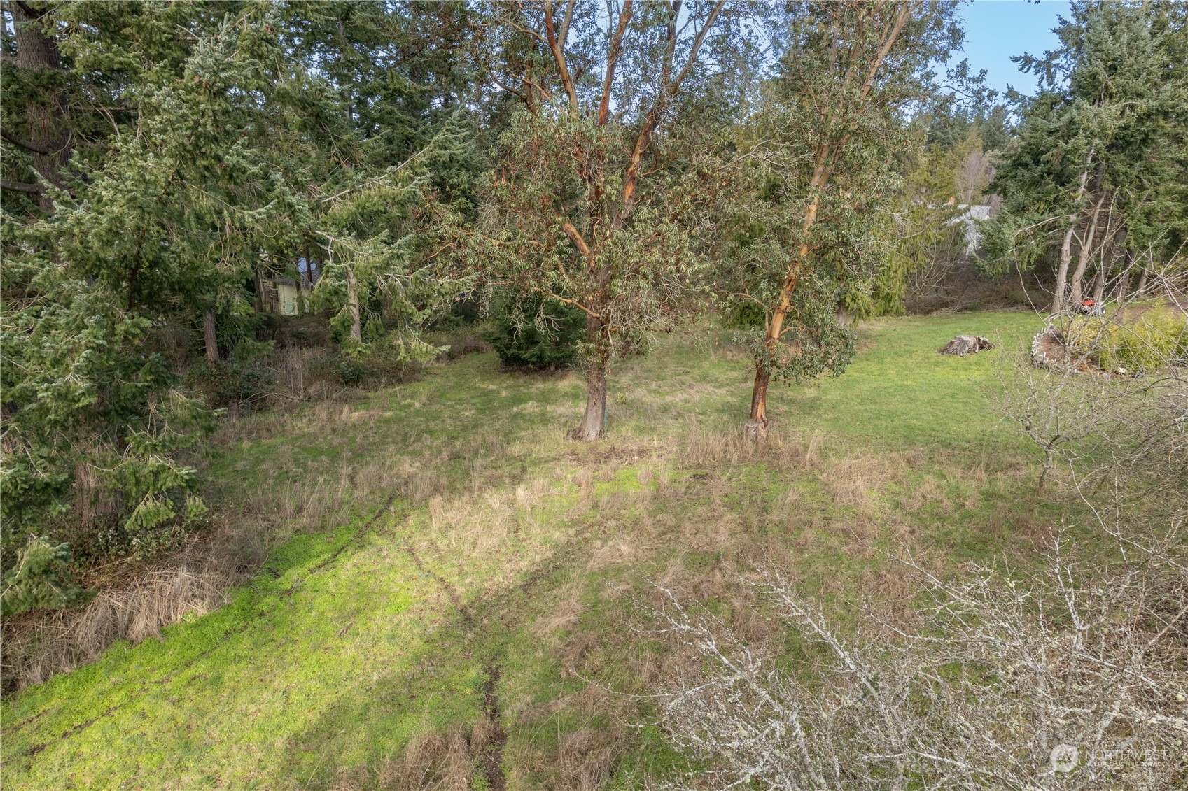 1431 Beech Street Property Photo 6