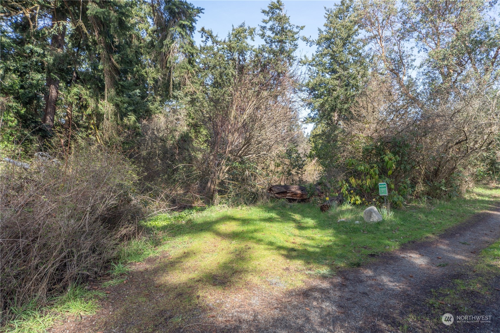 1431 Beech Street Property Photo 7