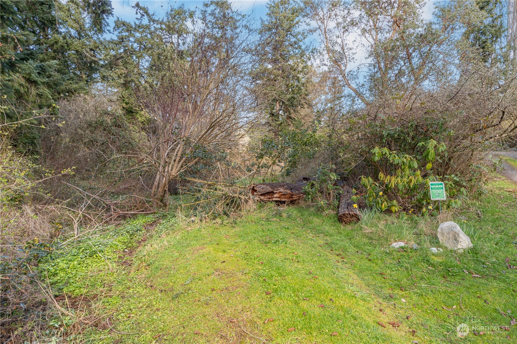 1431 Beech Street Property Photo 8