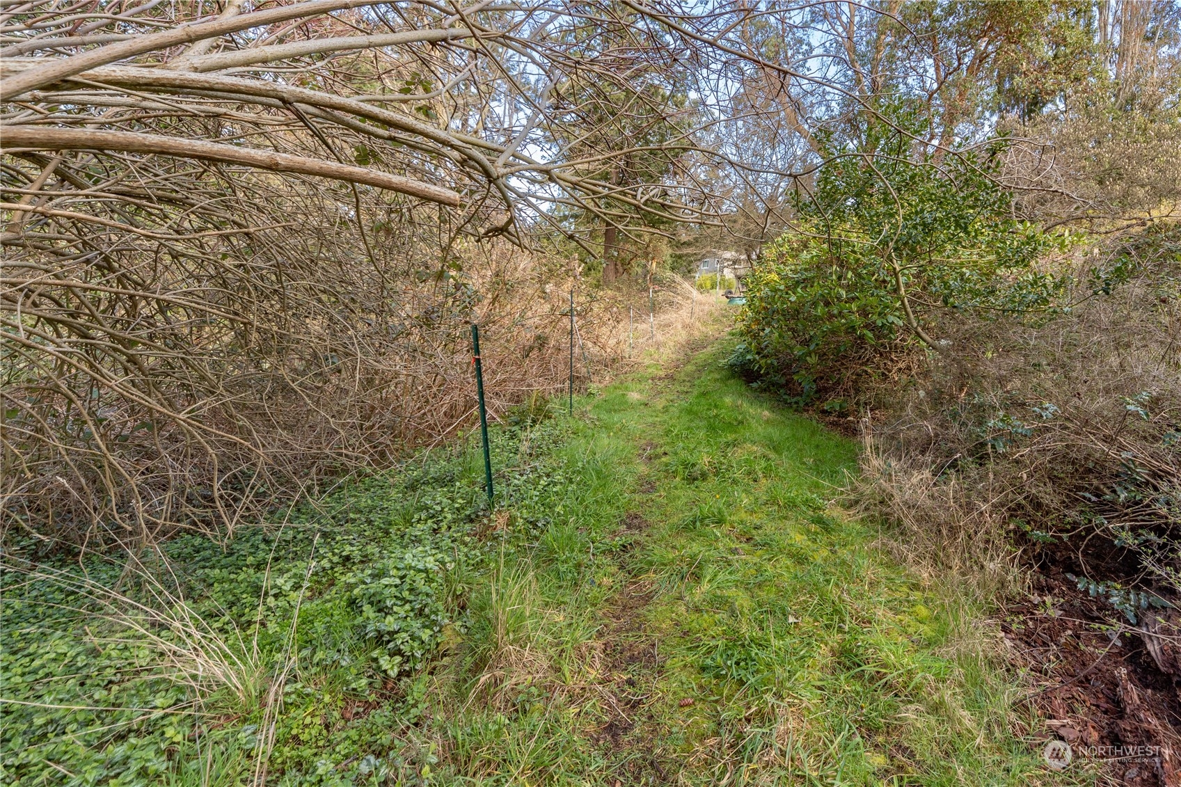 1431 Beech Street Property Photo 9