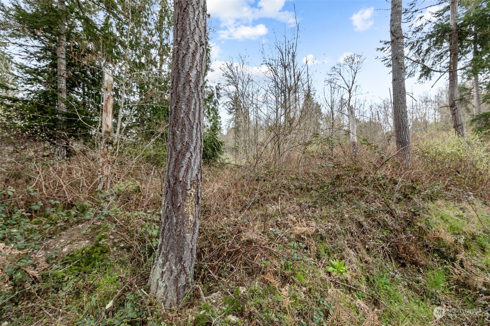 9248 Ne Country Woods Lane Property Photo 30