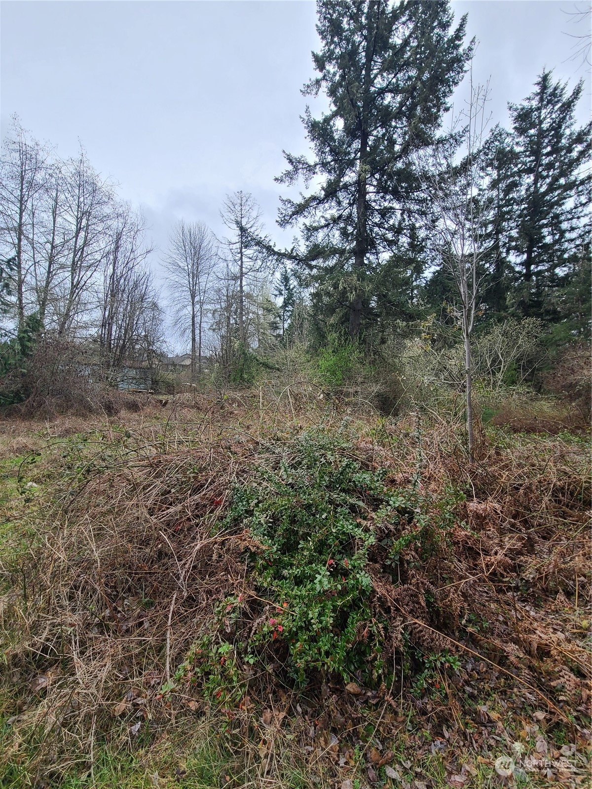 7132 Hawks Prairie Road Property Photo 26