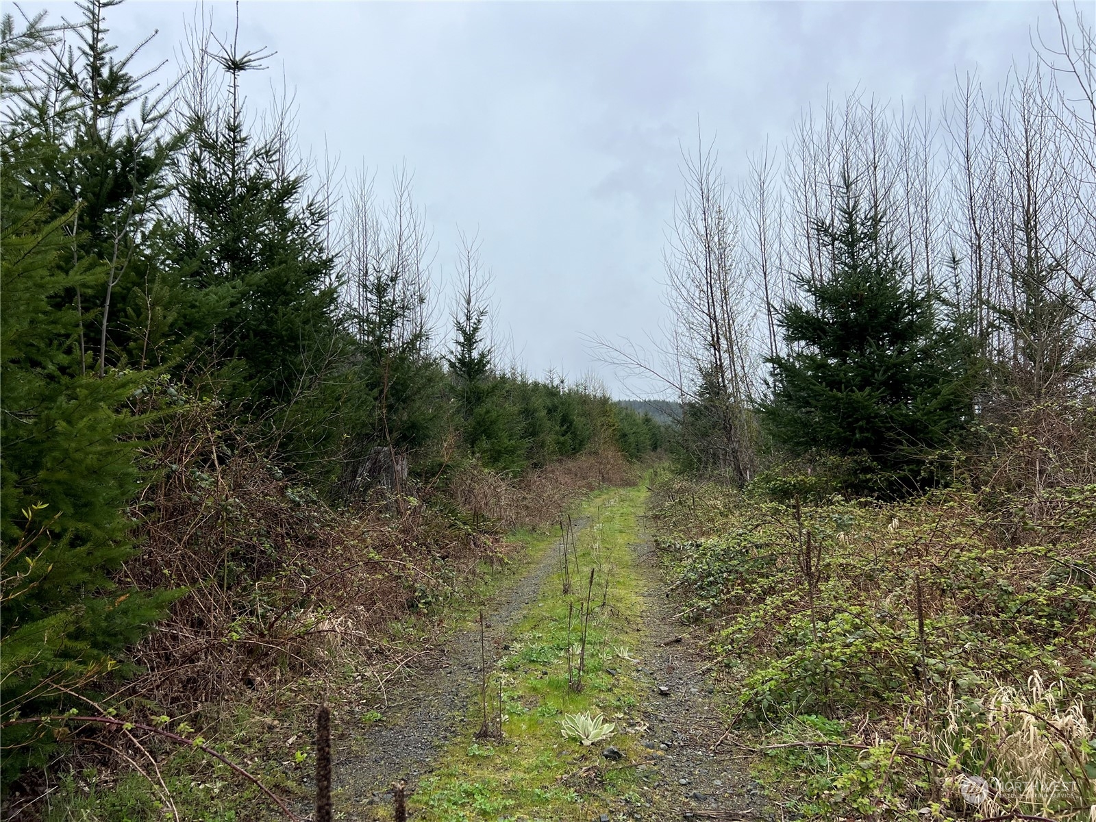 7505 Us Hwy 12 Property Photo 8