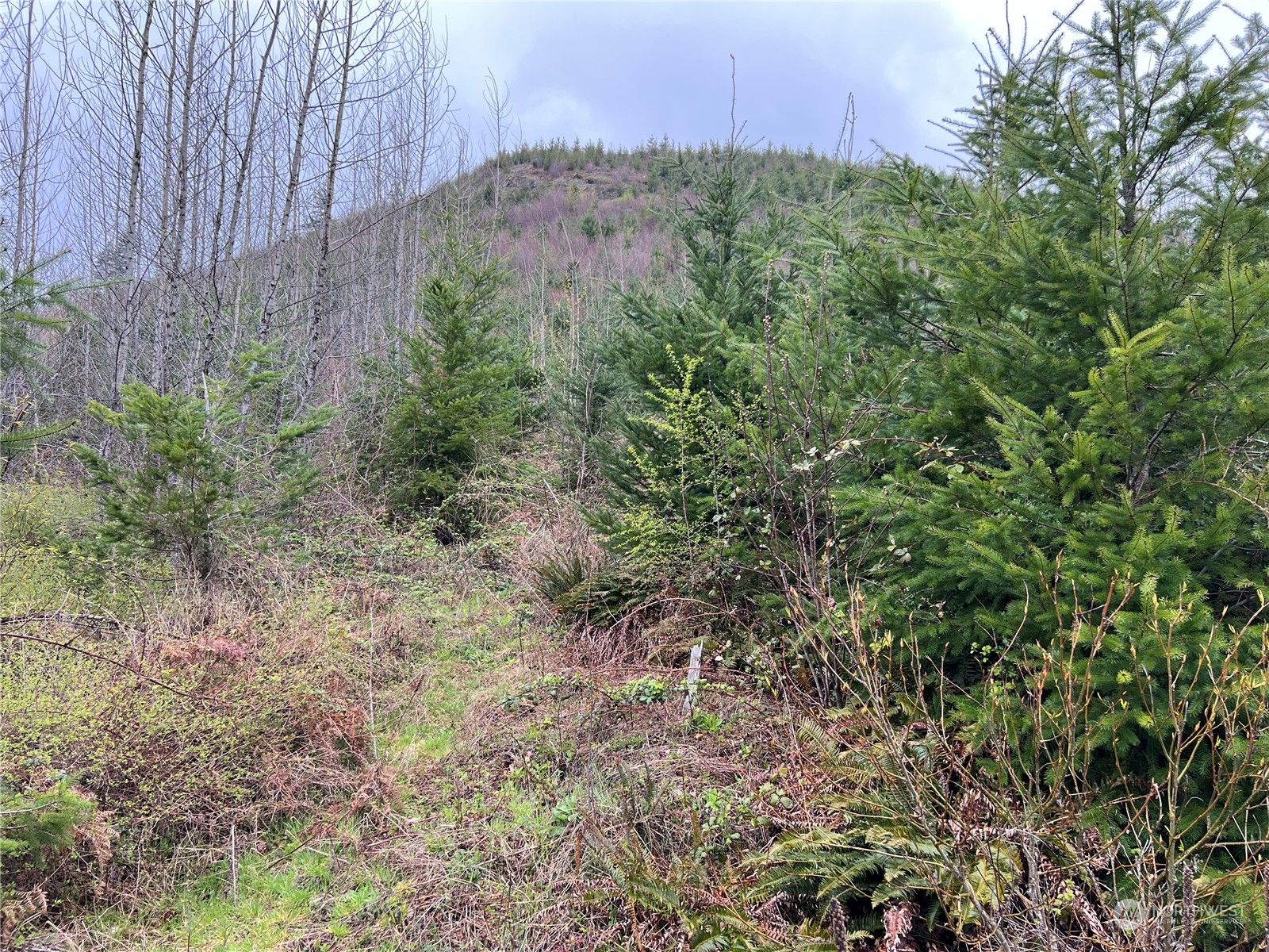 7505 Us Hwy 12 Property Photo 9