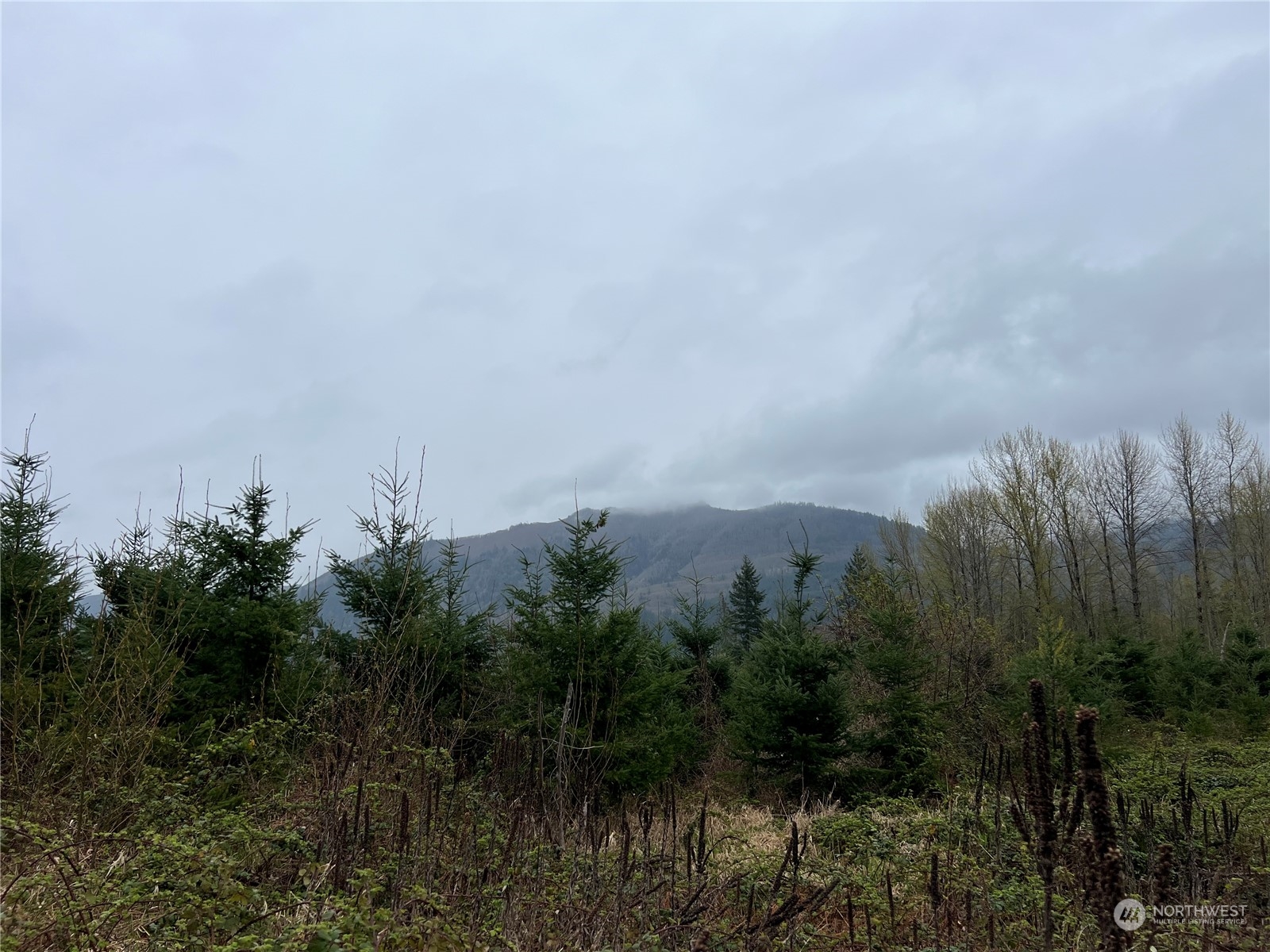 7505 Us Hwy 12 Property Photo 10