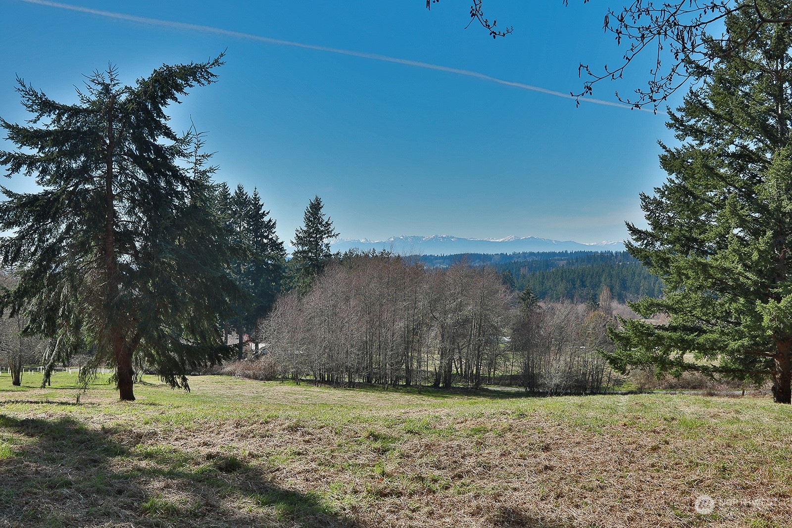 2903 Grimm Road Property Photo