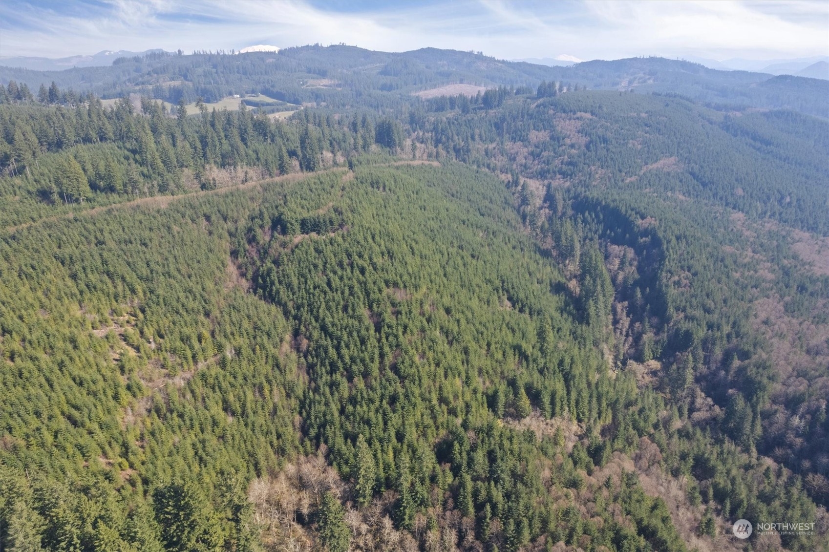 0 Cedar Mist Property Photo 7