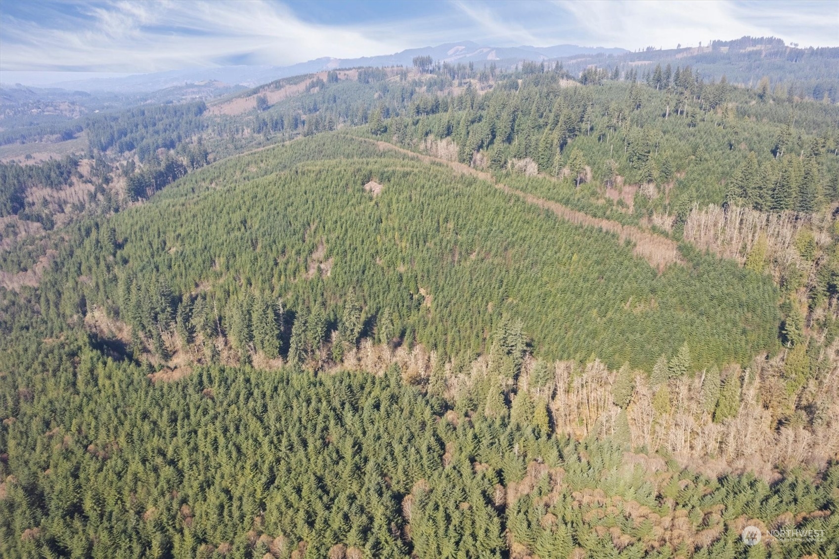 0 Cedar Mist Road Property Photo 1