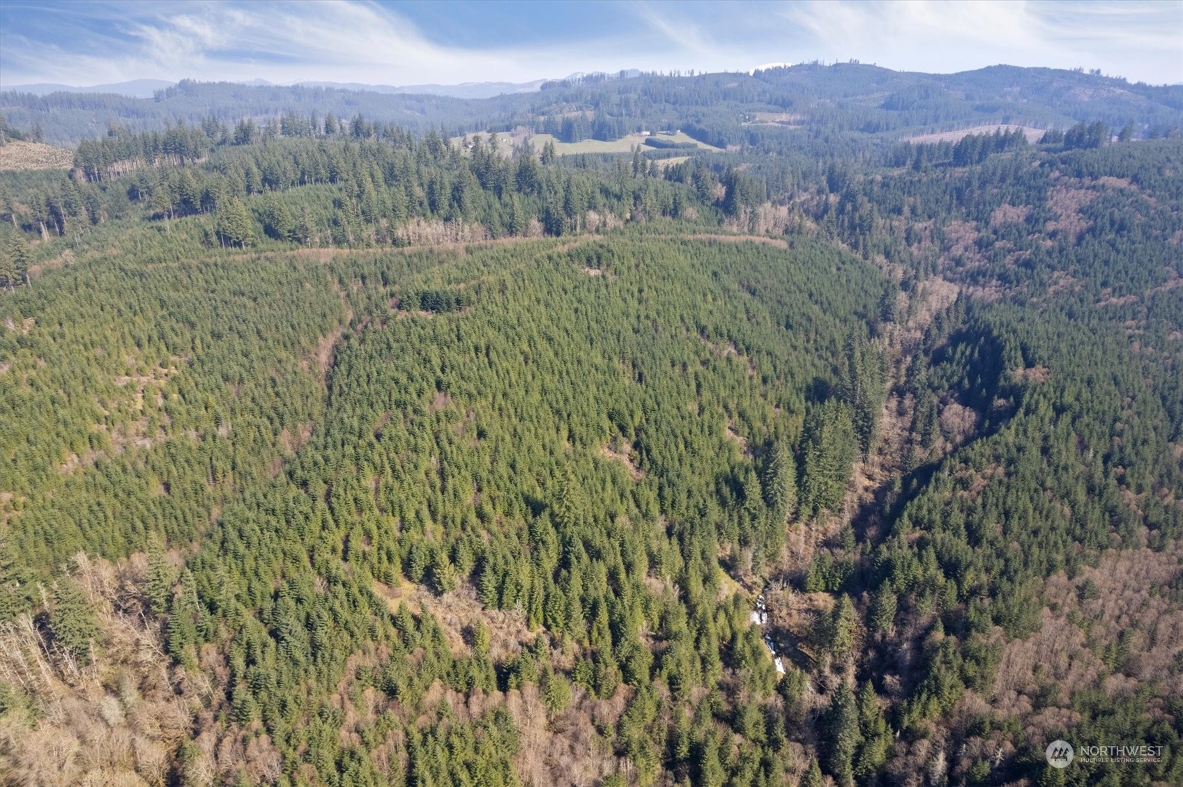 0 Cedar Mist Road Property Photo 3