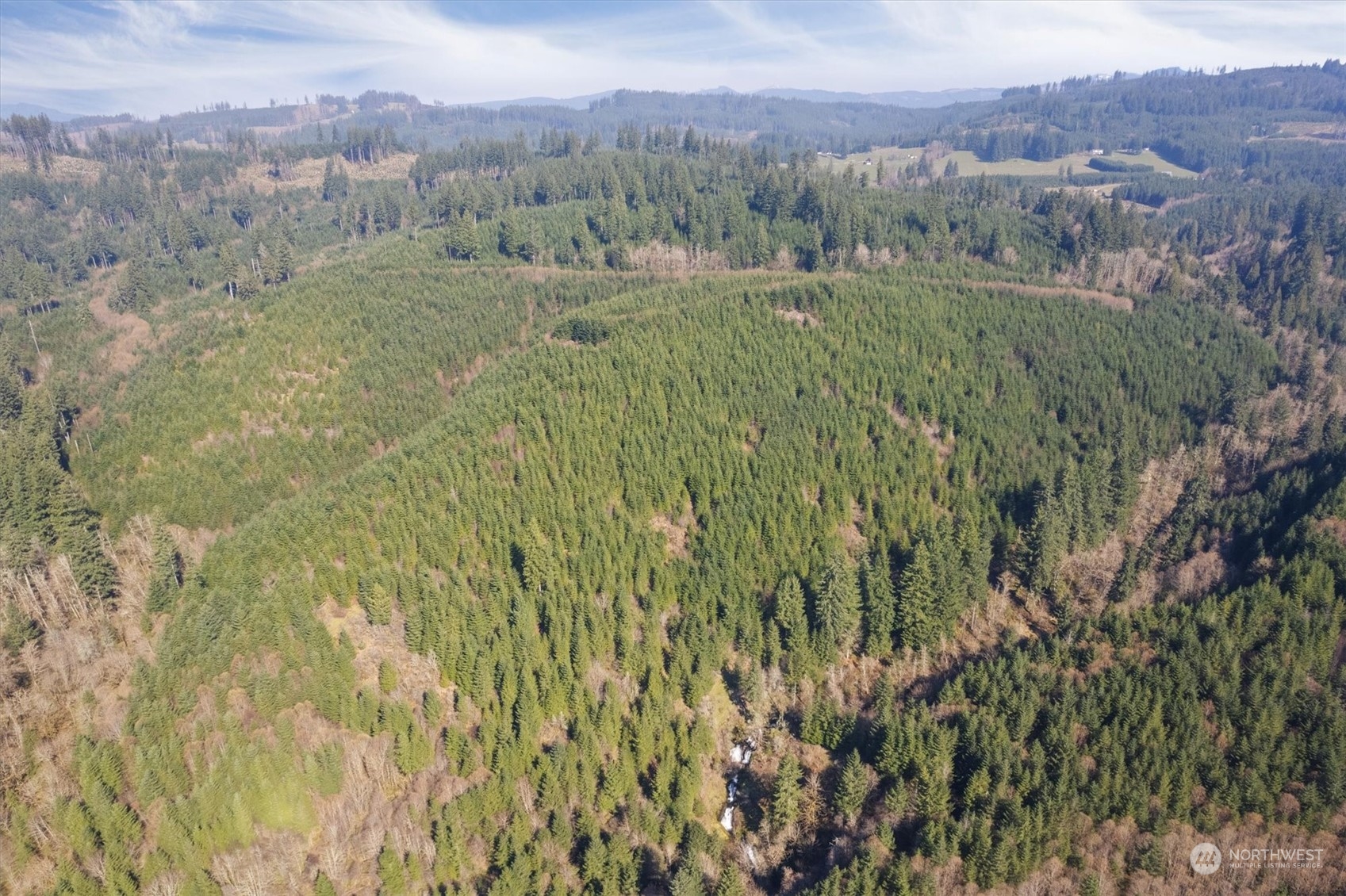 0 Cedar Mist Road Property Photo 4