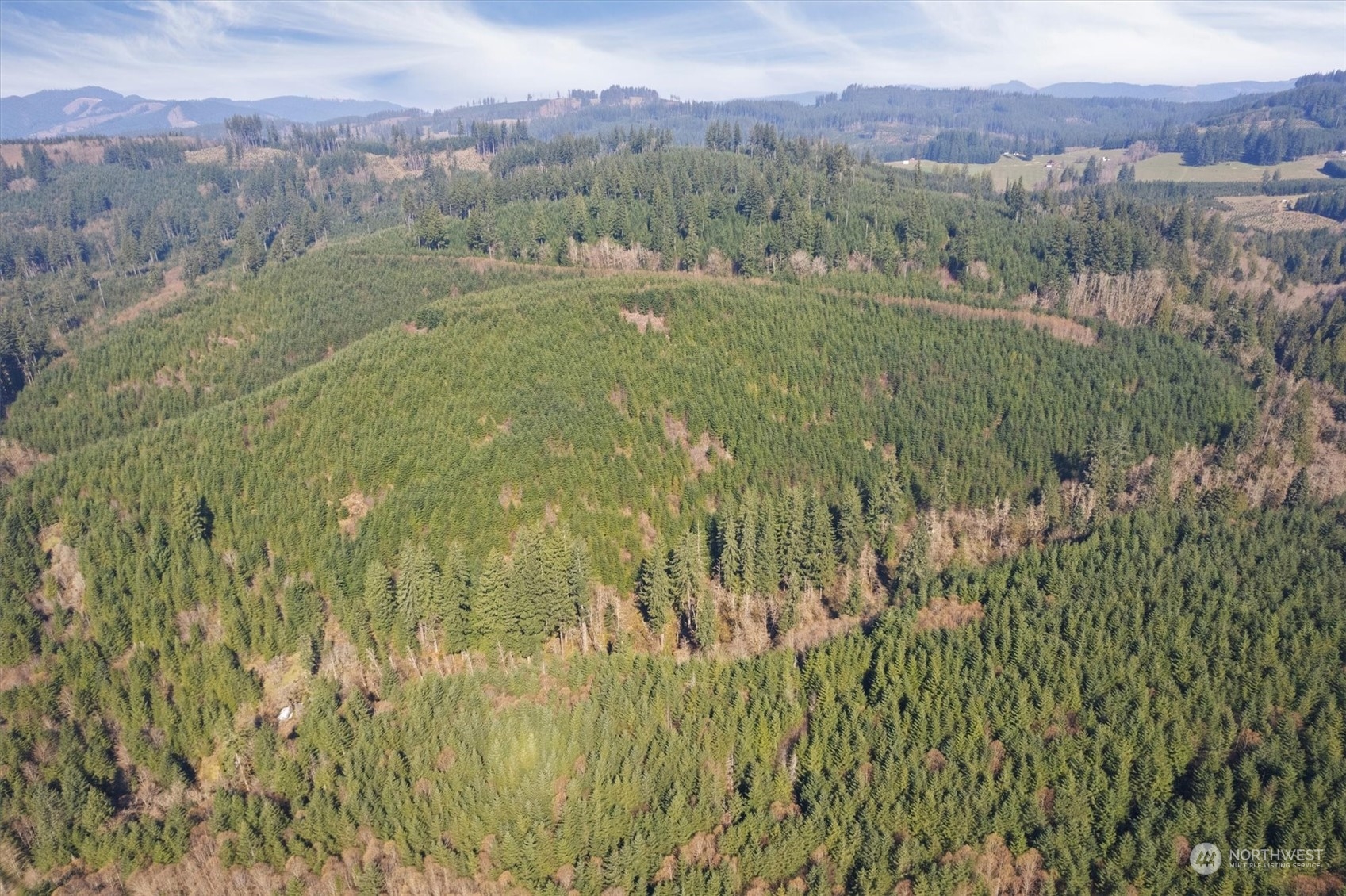 0 Cedar Mist Road Property Photo 6