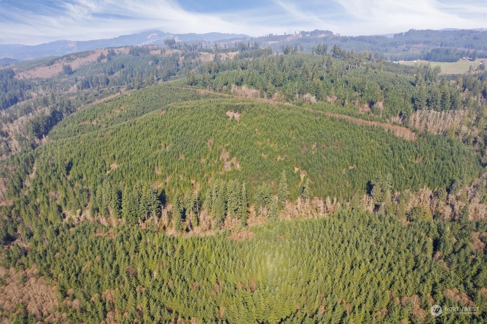 0 Cedar Mist Road Property Photo 8