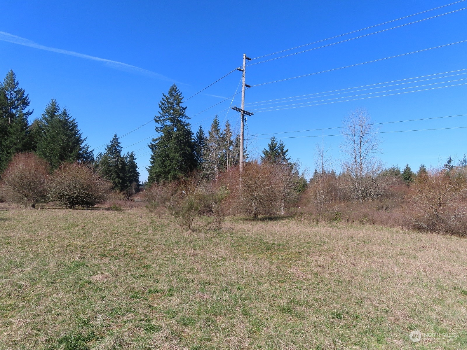 107 Avery Road A Property Photo 29