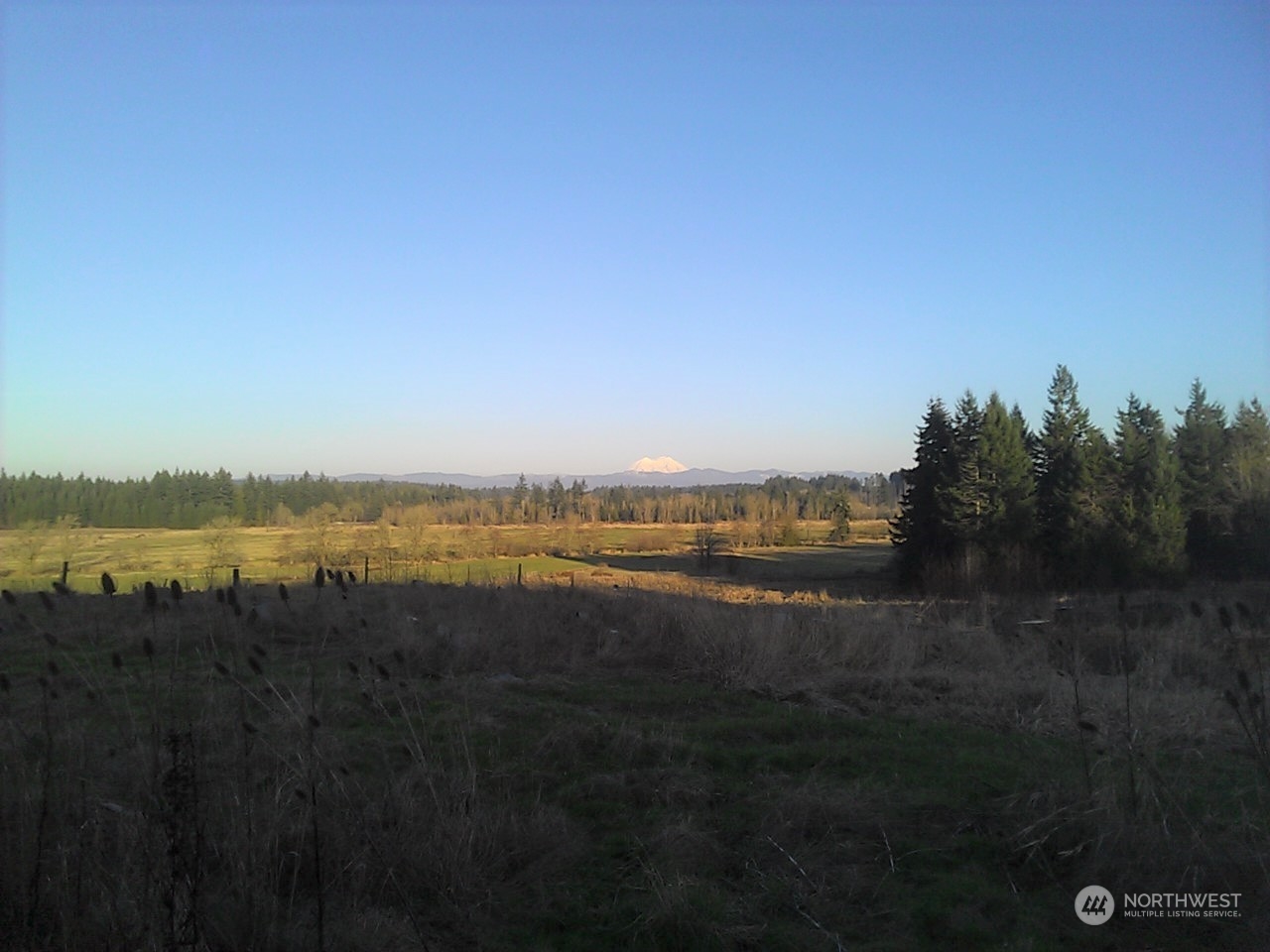 1054 Rush Road Property Photo 23