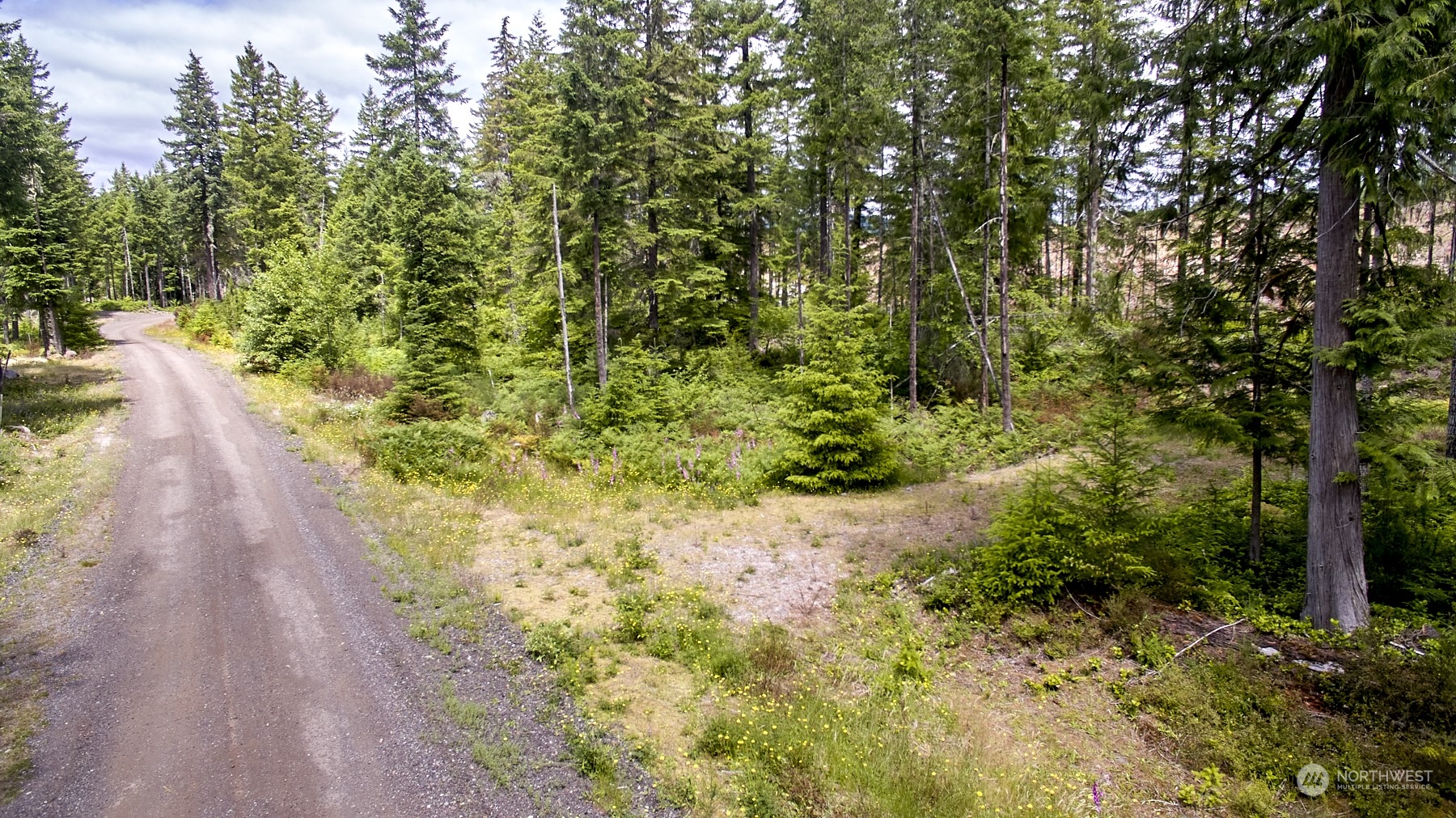 1 Lodgepole Lane Property Photo 3