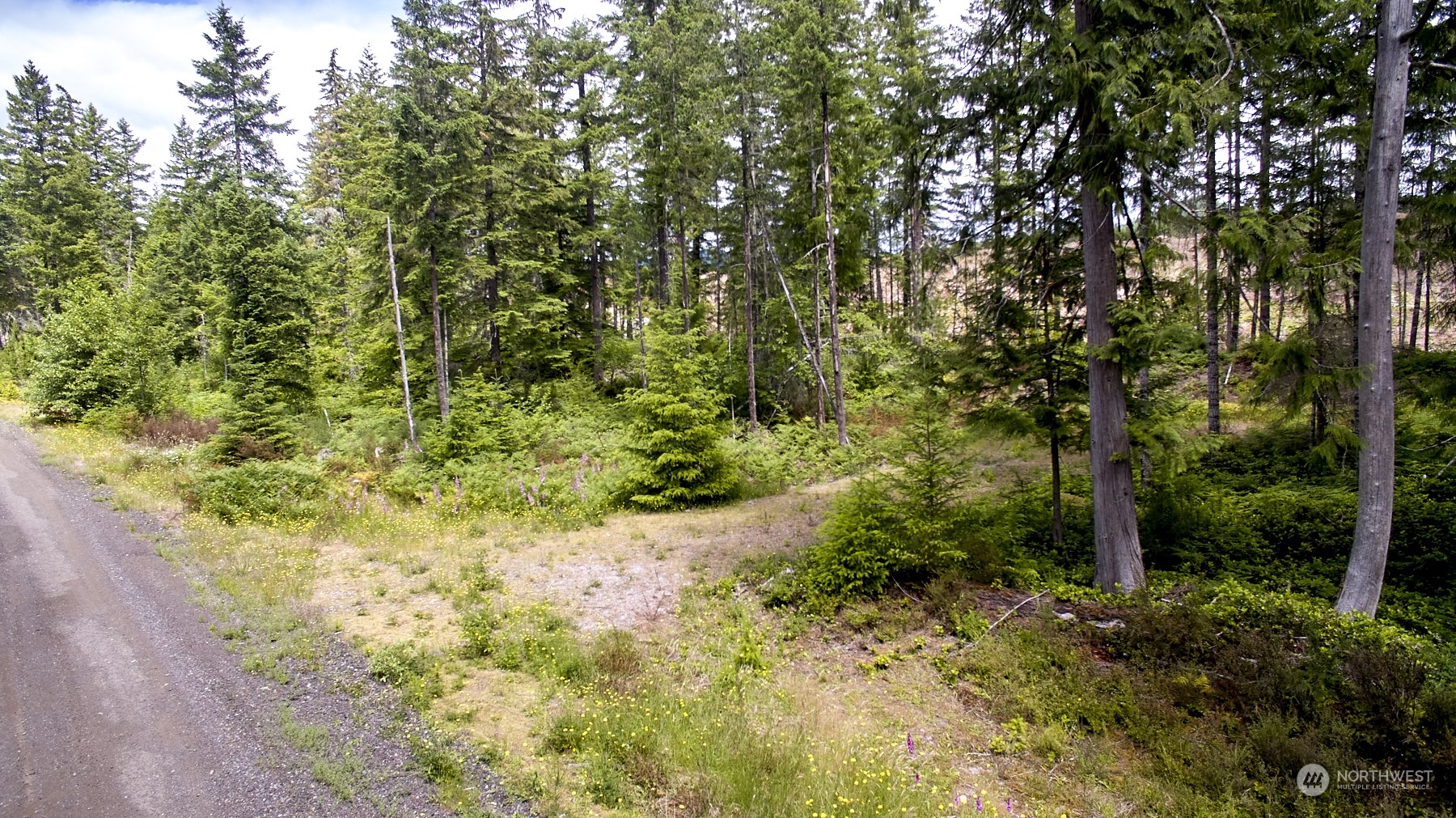 1 Lodgepole Lane Property Photo 4