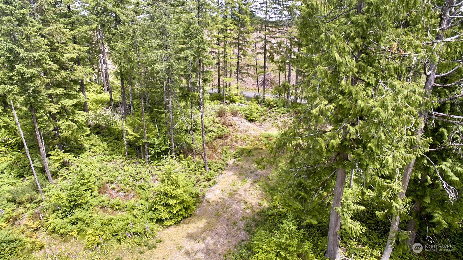 1 Lodgepole Lane Property Photo 5