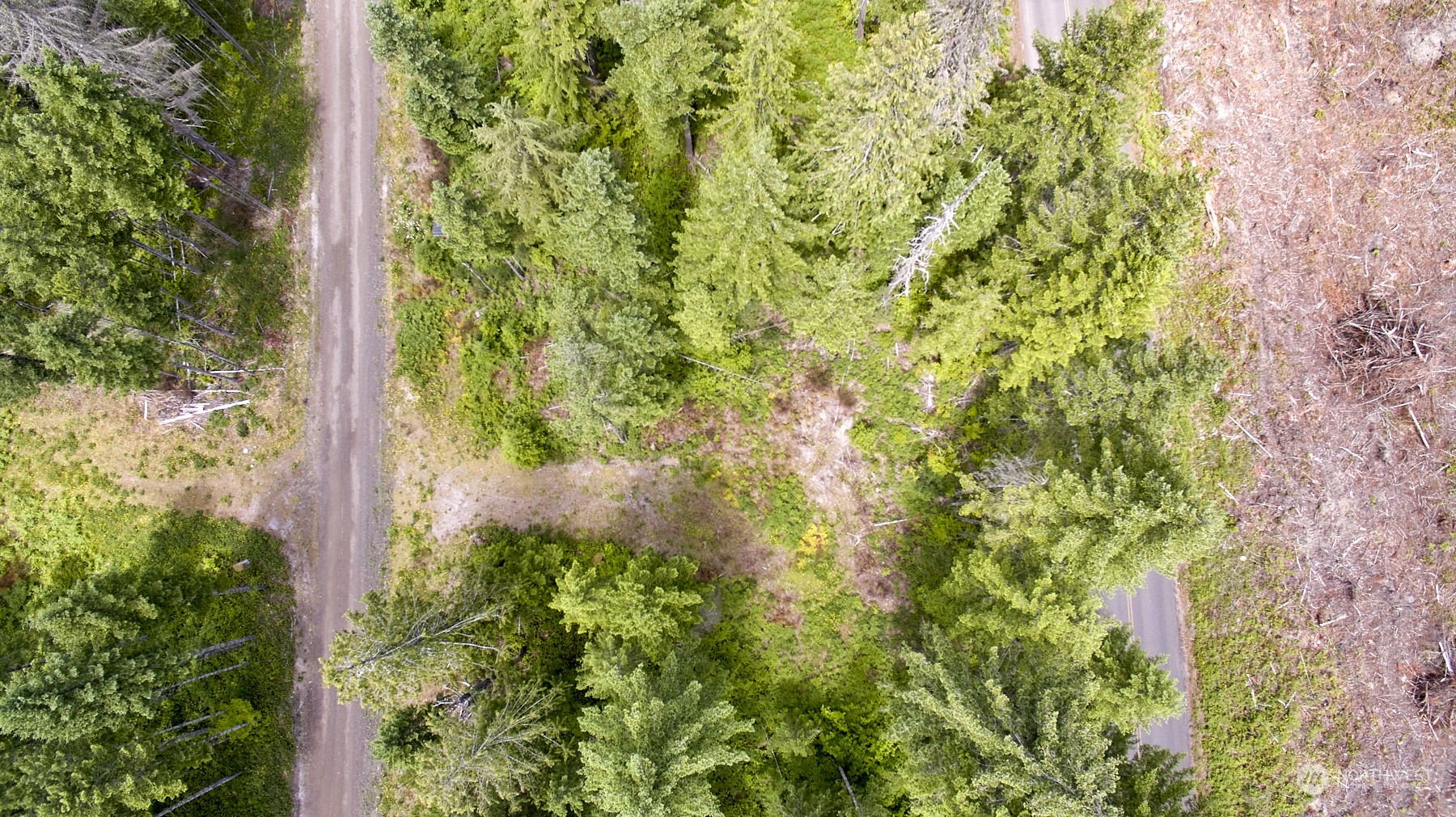 1 Lodgepole Lane Property Photo 6