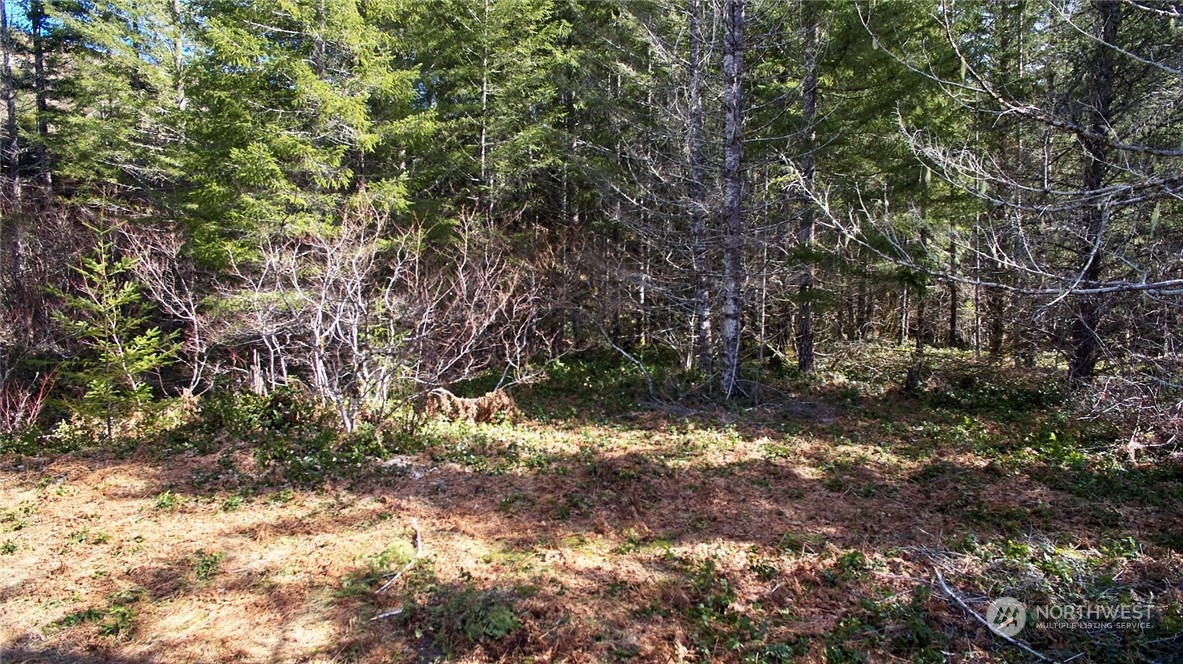 8 Lahar Lane Property Photo 6