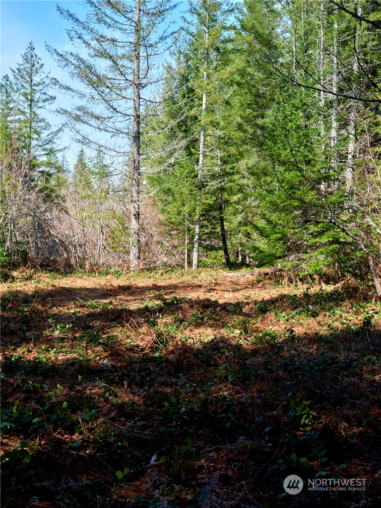 8 Lahar Lane Property Photo 10