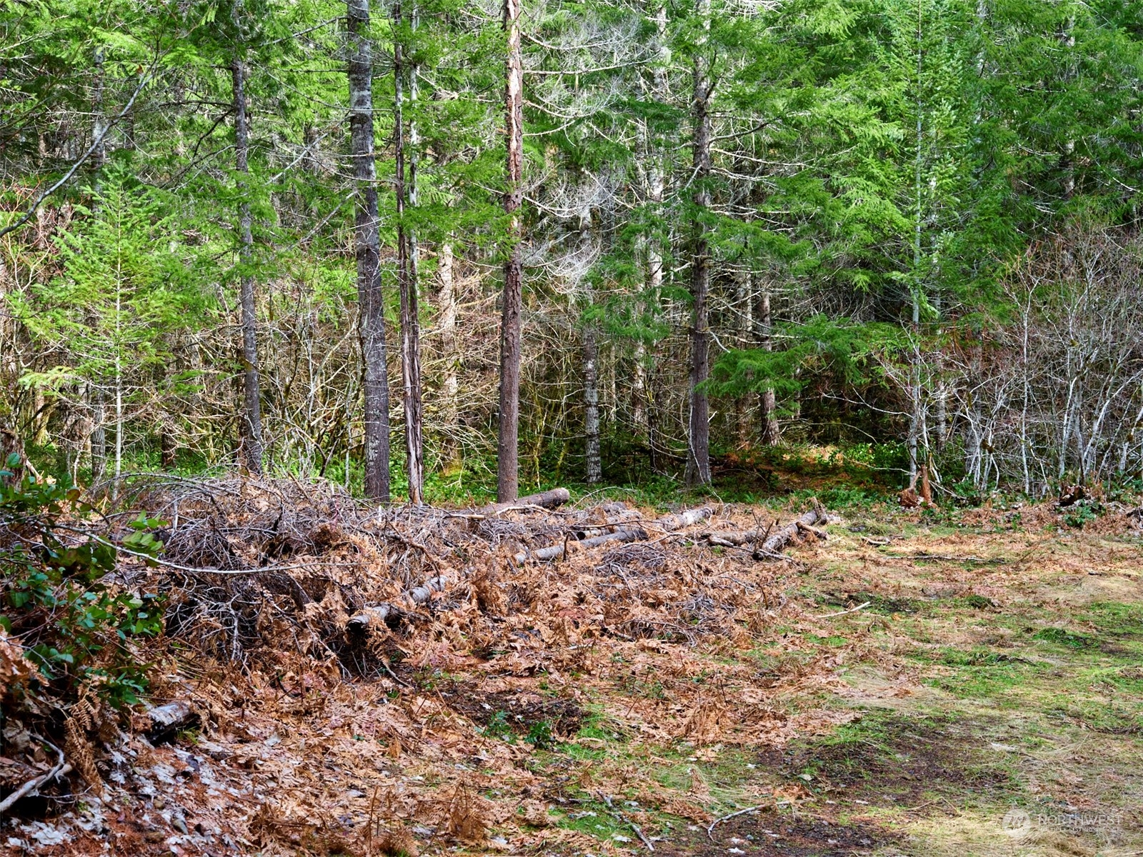 3 Lahar Lane Property Photo 10