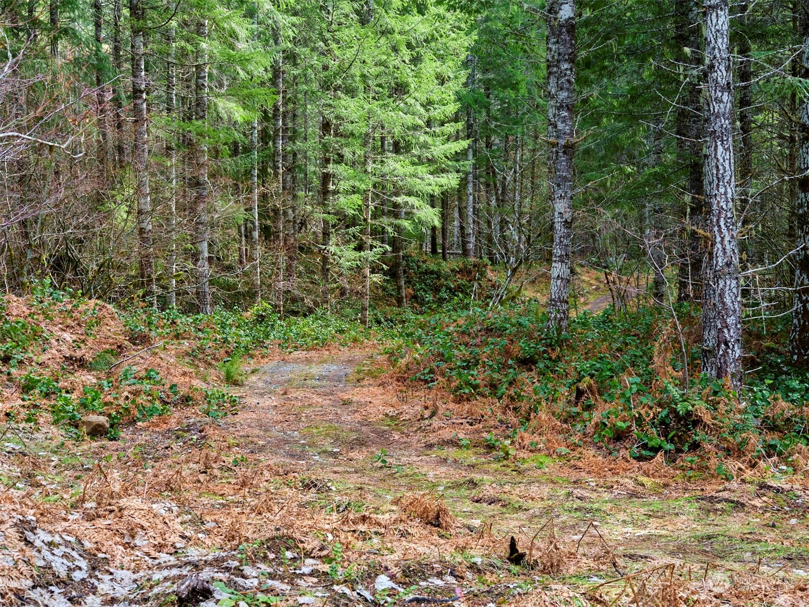 3 Lahar Lane Property Photo 11