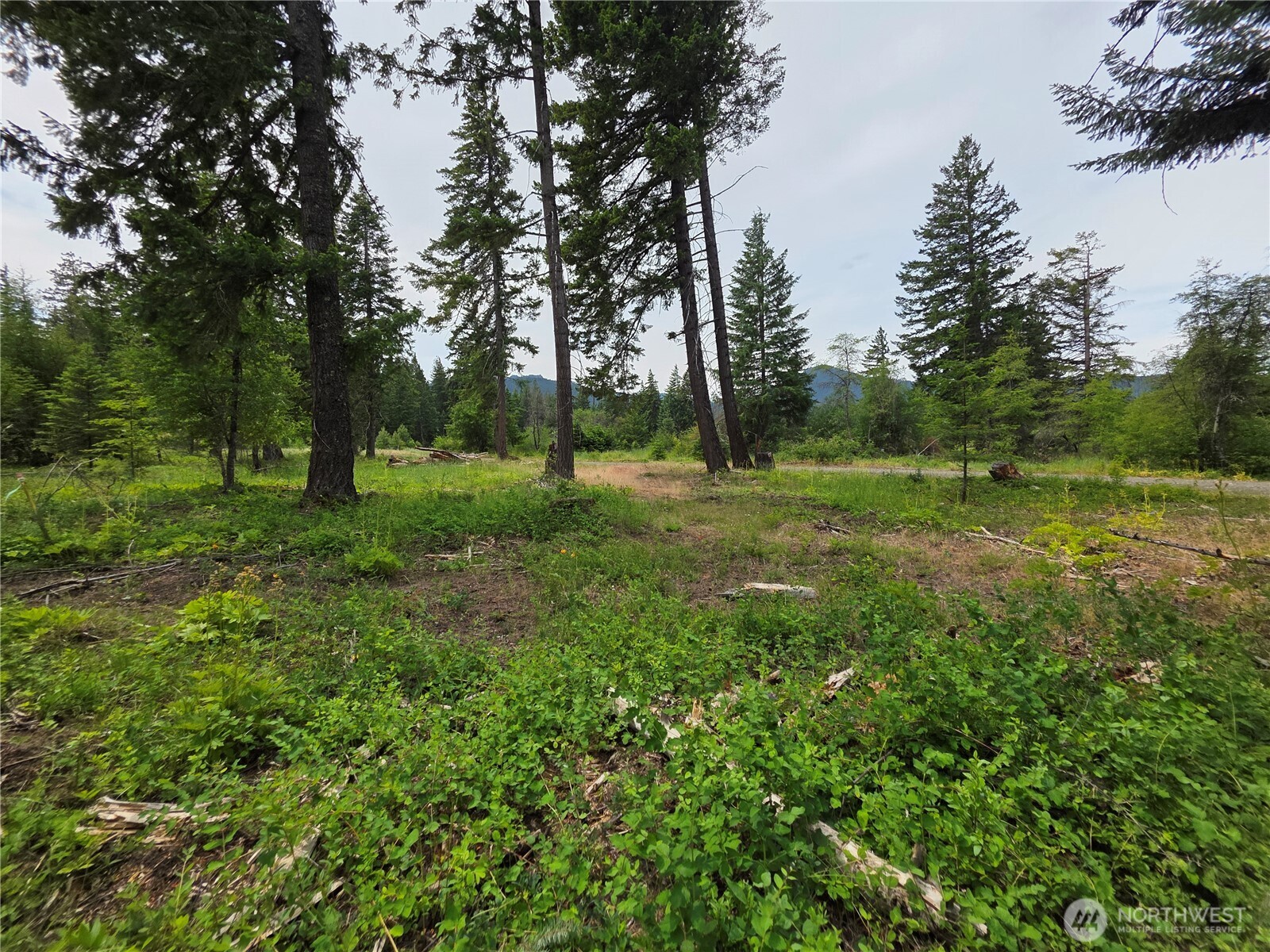 0 NVLot 2 Nelson View Way Property Photo 1