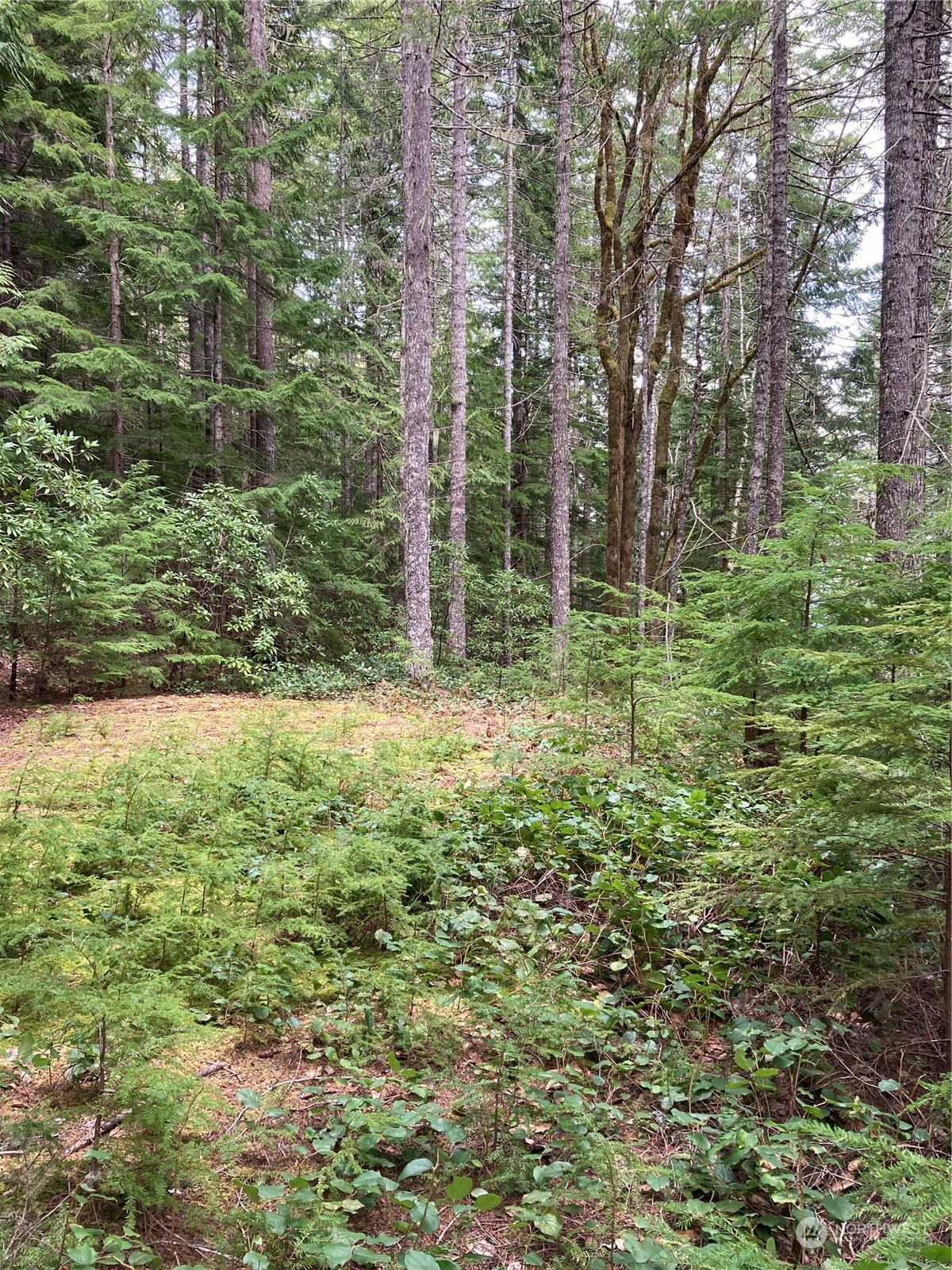 1350 N Hilltop Loop Road Property Photo