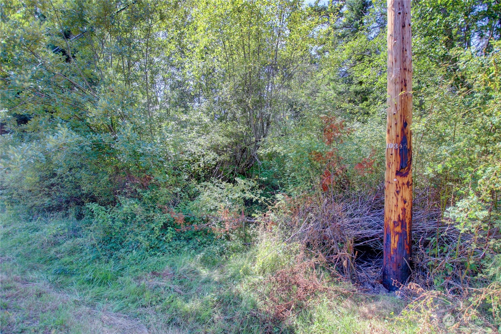 0 Race Road B Property Photo 11