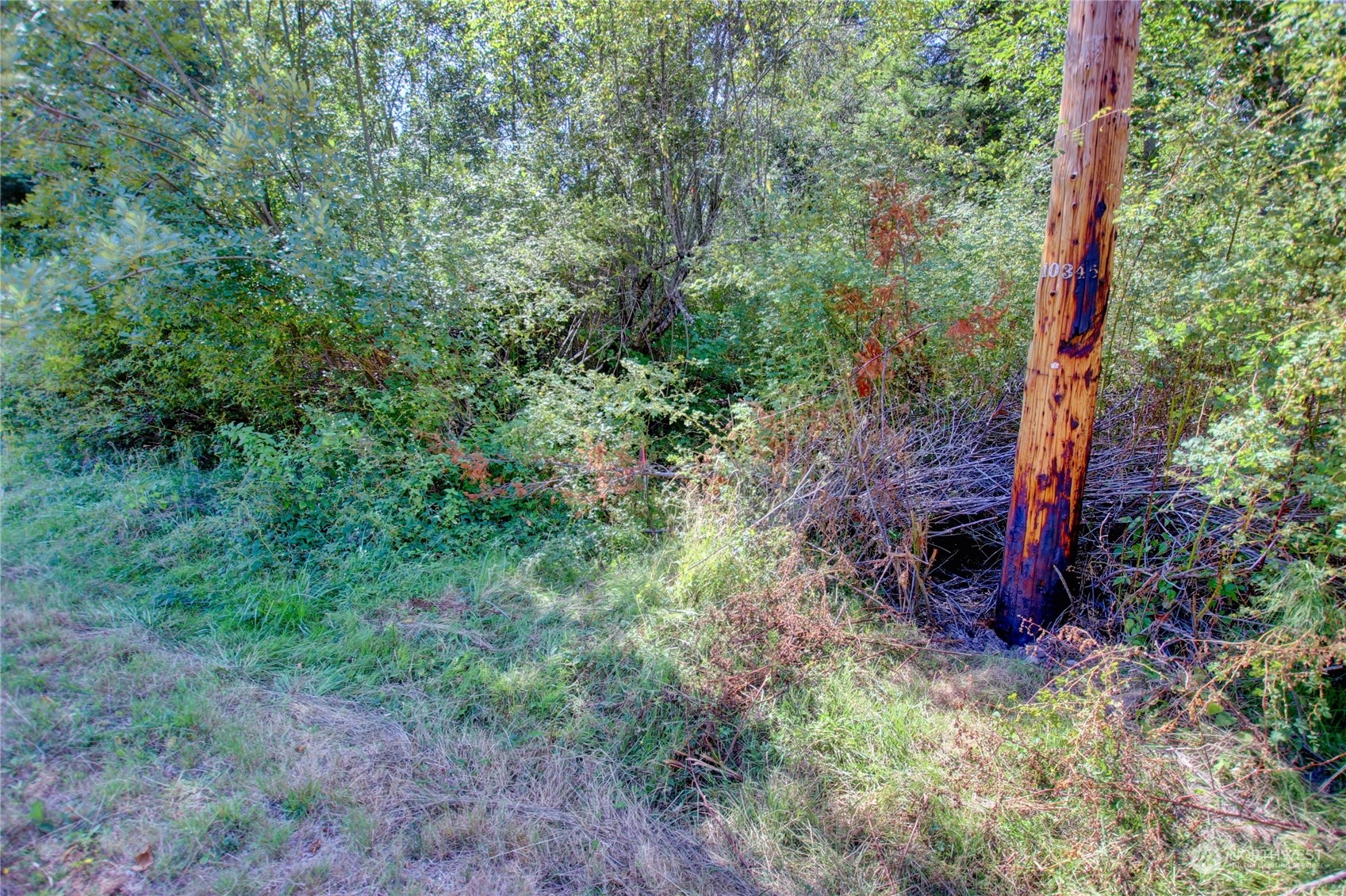 0 Race Road B Property Photo 12