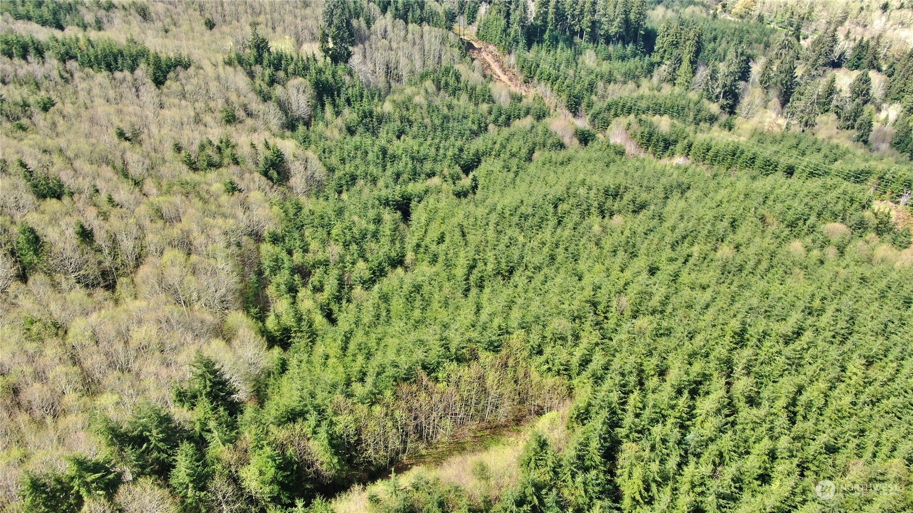 0 Off Of State Route 107 Property Photo 1