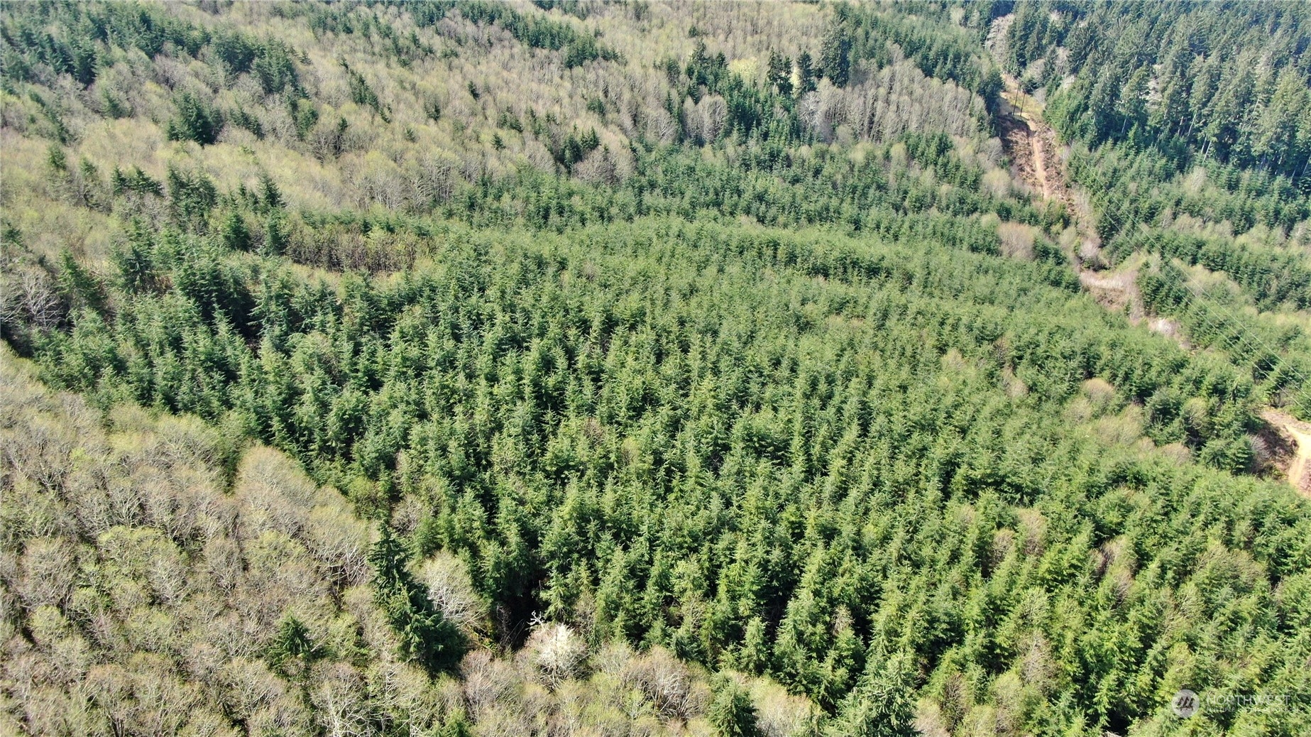 0 Off Of State Route 107 Property Photo 2