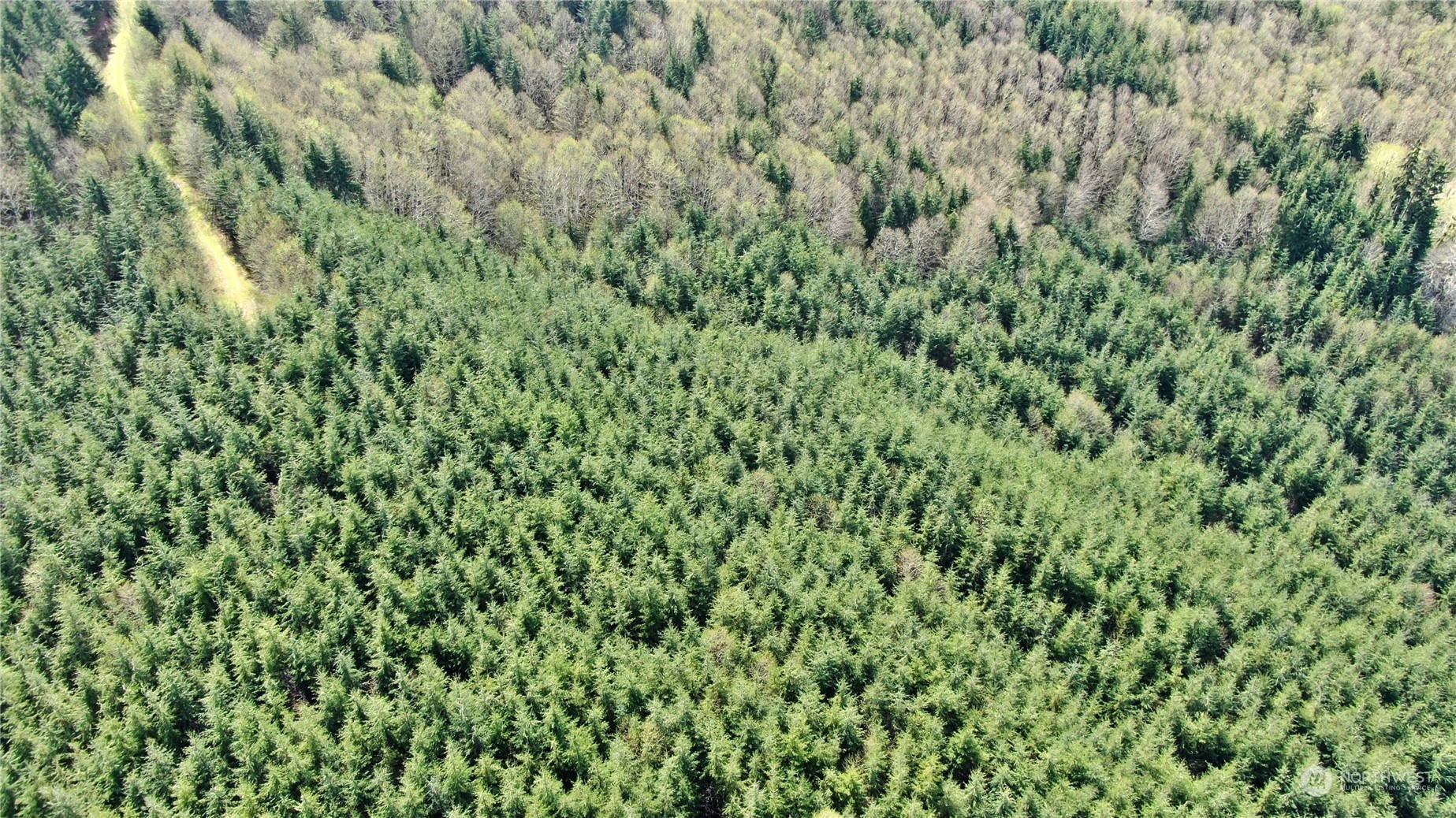 0 Off Of State Route 107 Property Photo 4