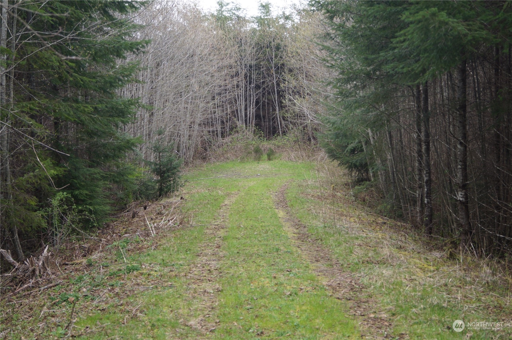 0 Off Of State Route 107 Property Photo 5