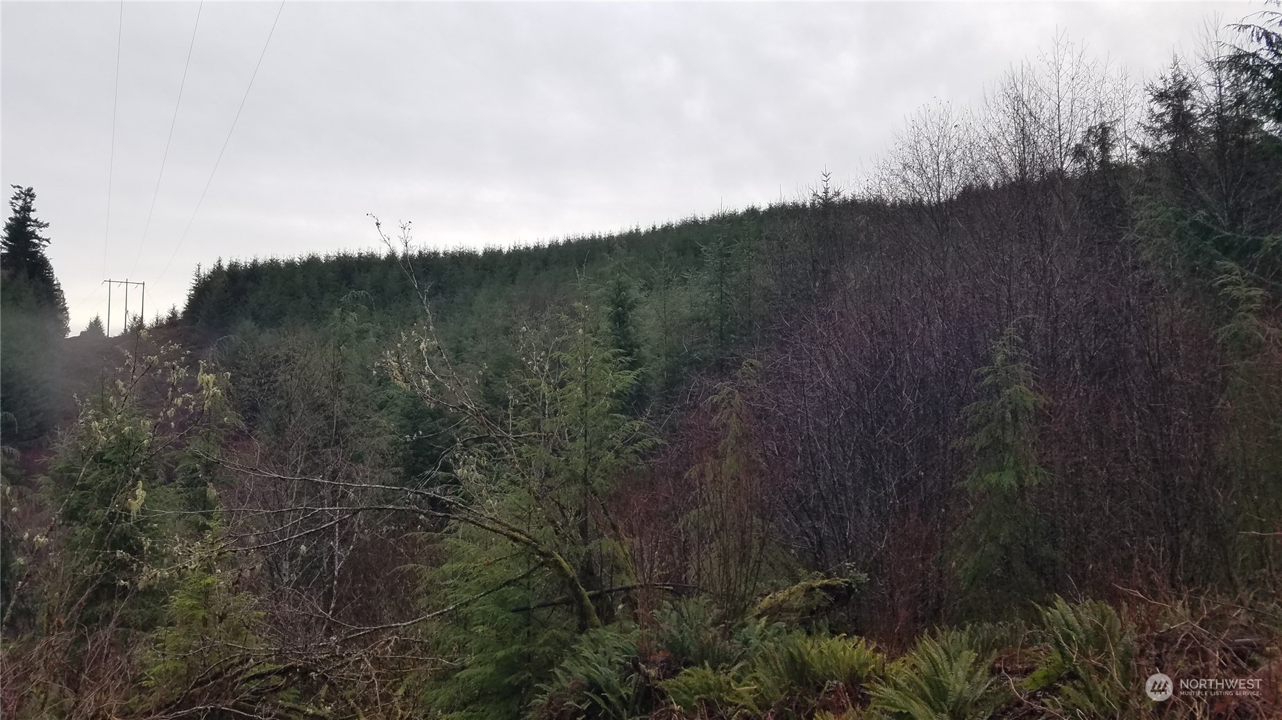 0 Off Of State Route 107 Property Photo 6