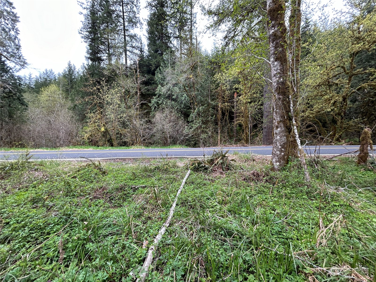 0 Lot 3 Abernathy Creek Road Property Photo 3