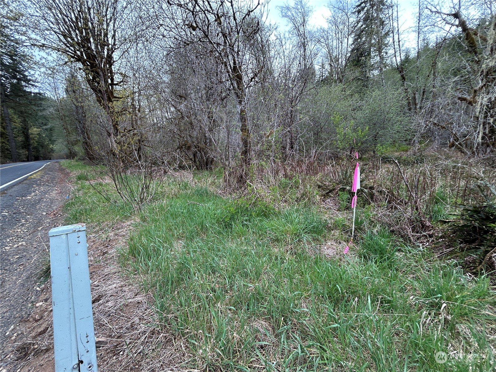 0 Lot 3 Abernathy Creek Road Property Photo 14