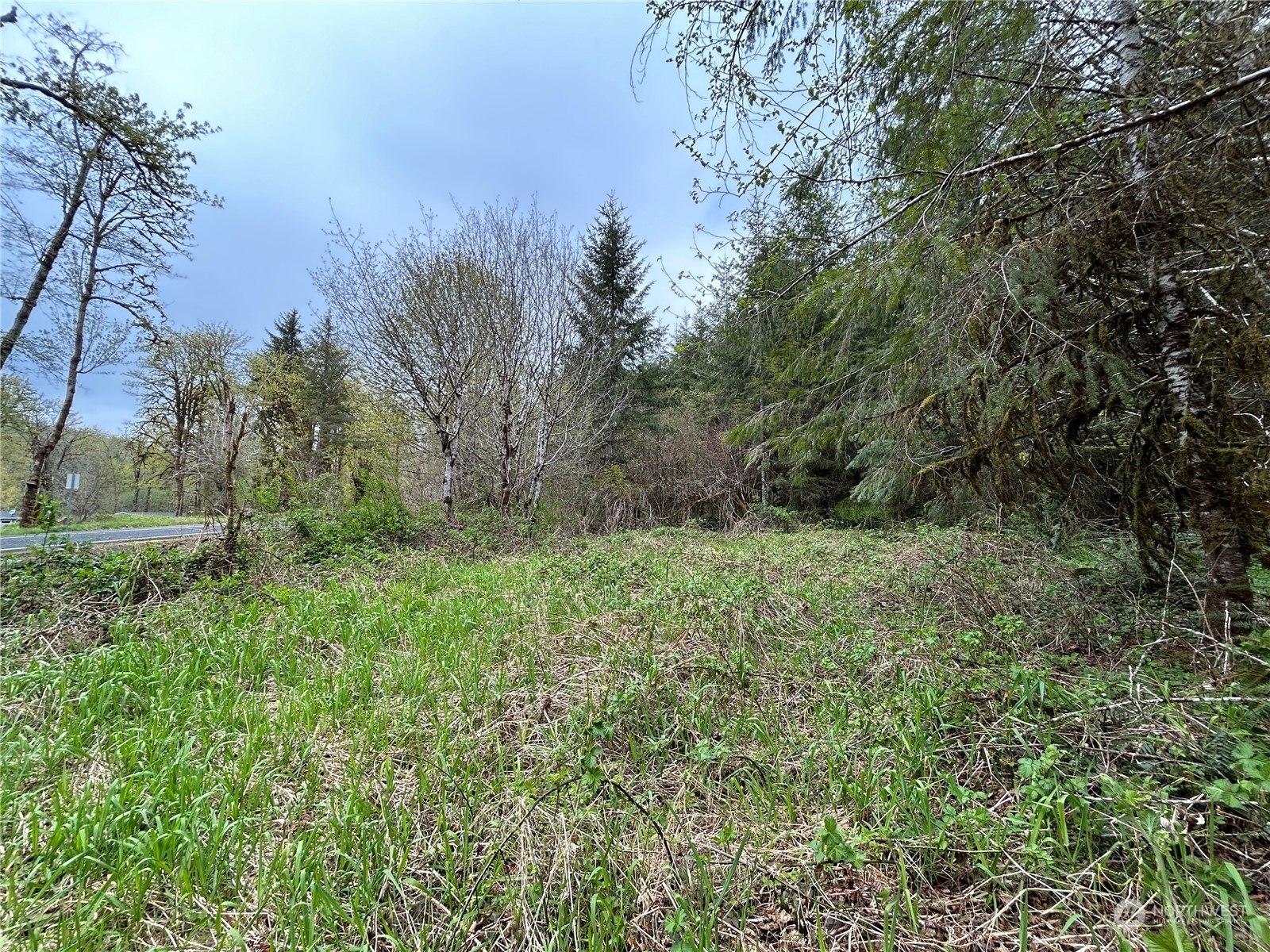 0 Lot 4 Abernathy Creek Road Property Photo 3