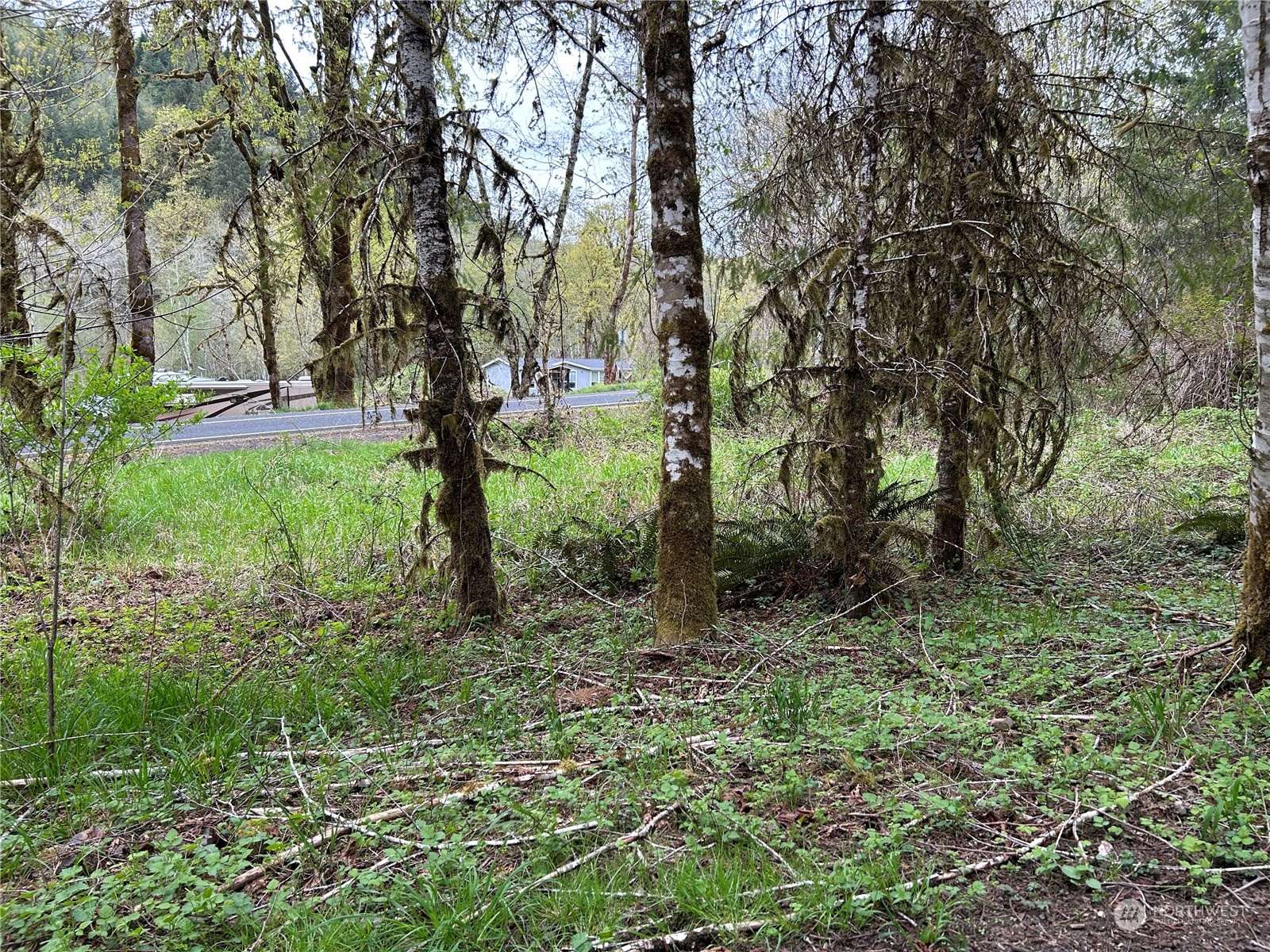0 Lot 4 Abernathy Creek Road Property Photo 4