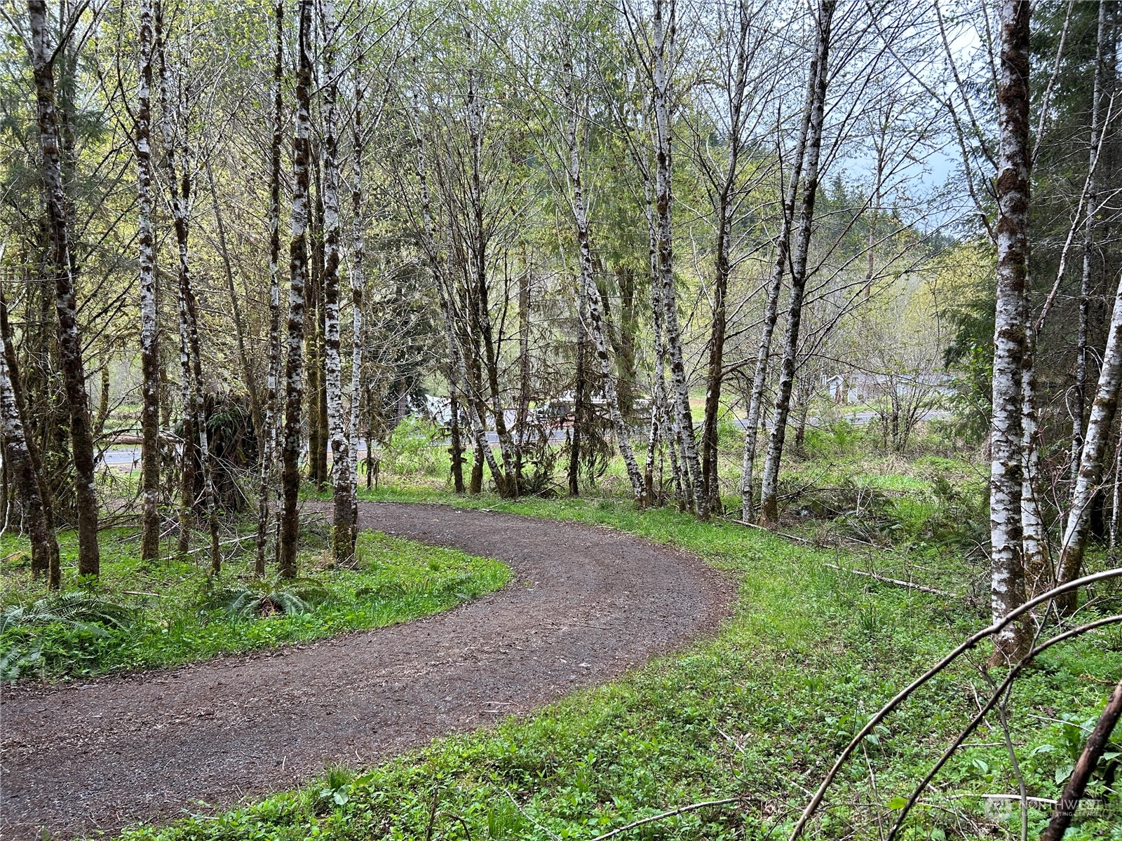 0 Lot 4 Abernathy Creek Road Property Photo 7
