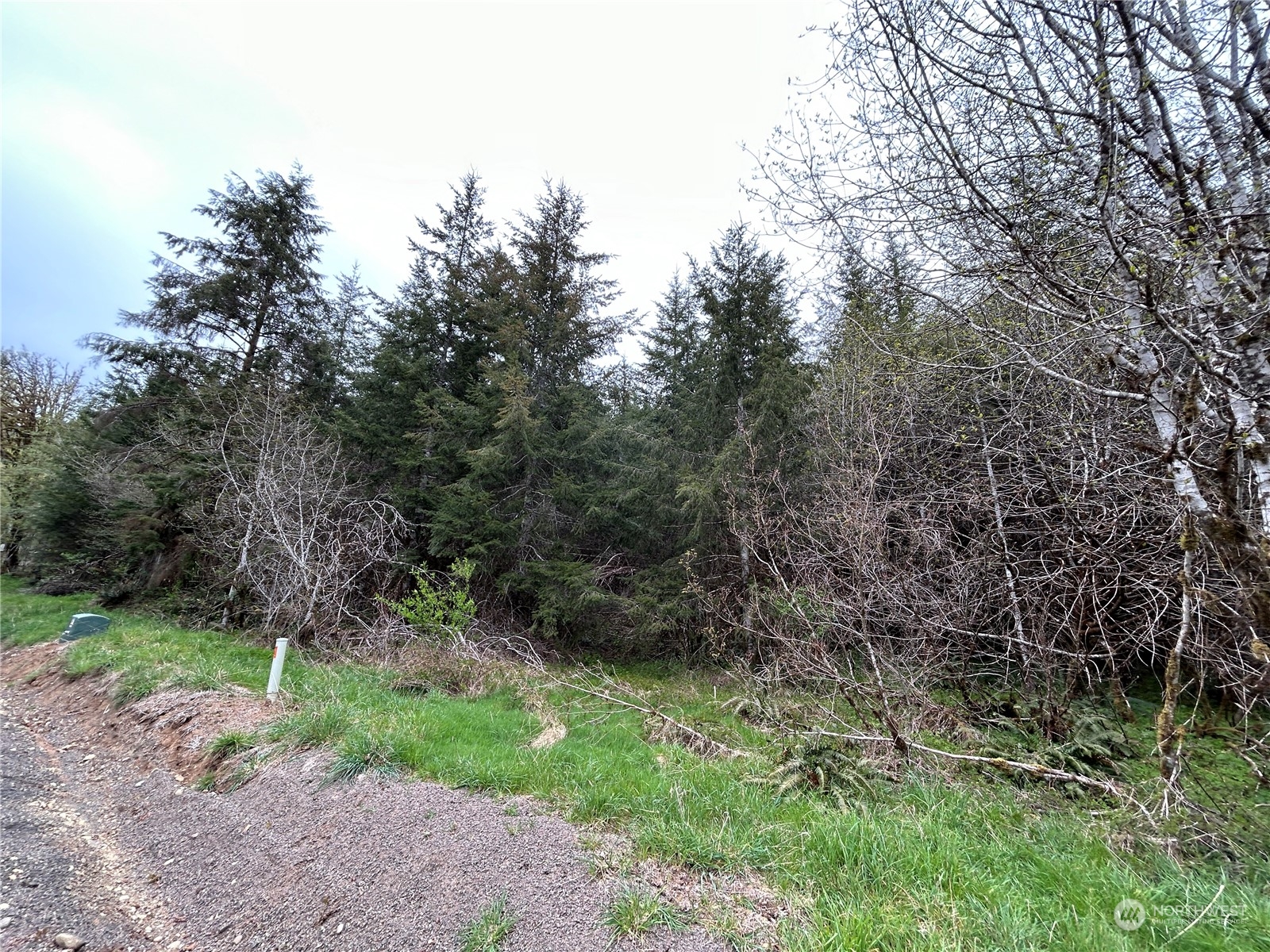 0 Lot 4 Abernathy Creek Road Property Photo 8