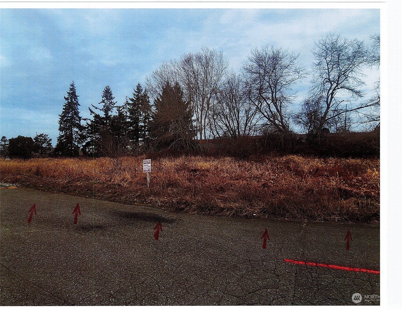 2302 E College Way Property Photo 2