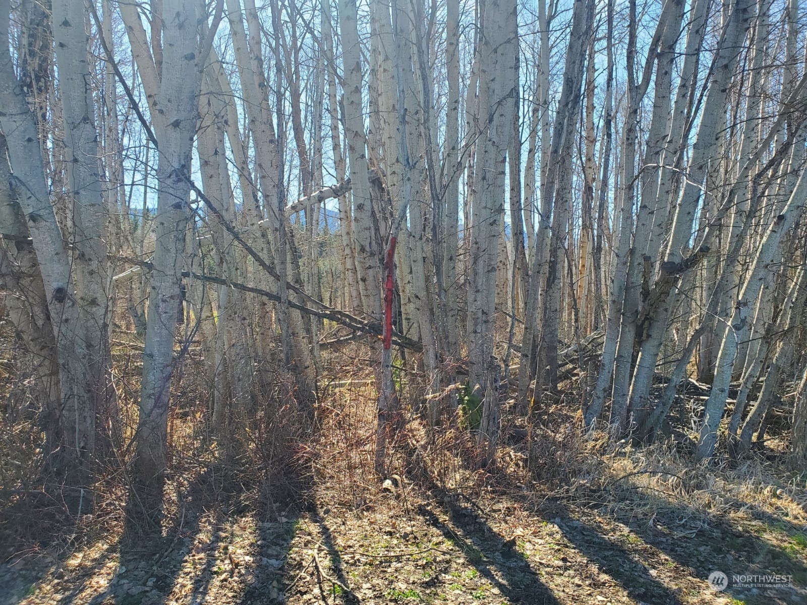 0 Lot 44 Three Lakes Rd Road Property Photo 7