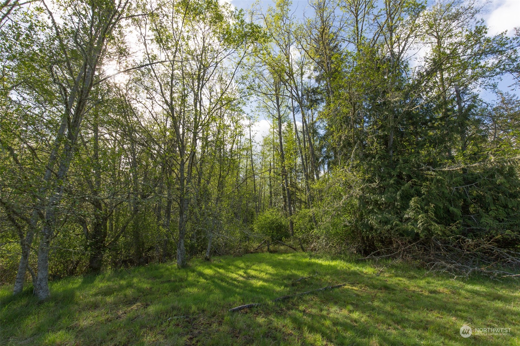 0 Harrington Road Property Photo 24