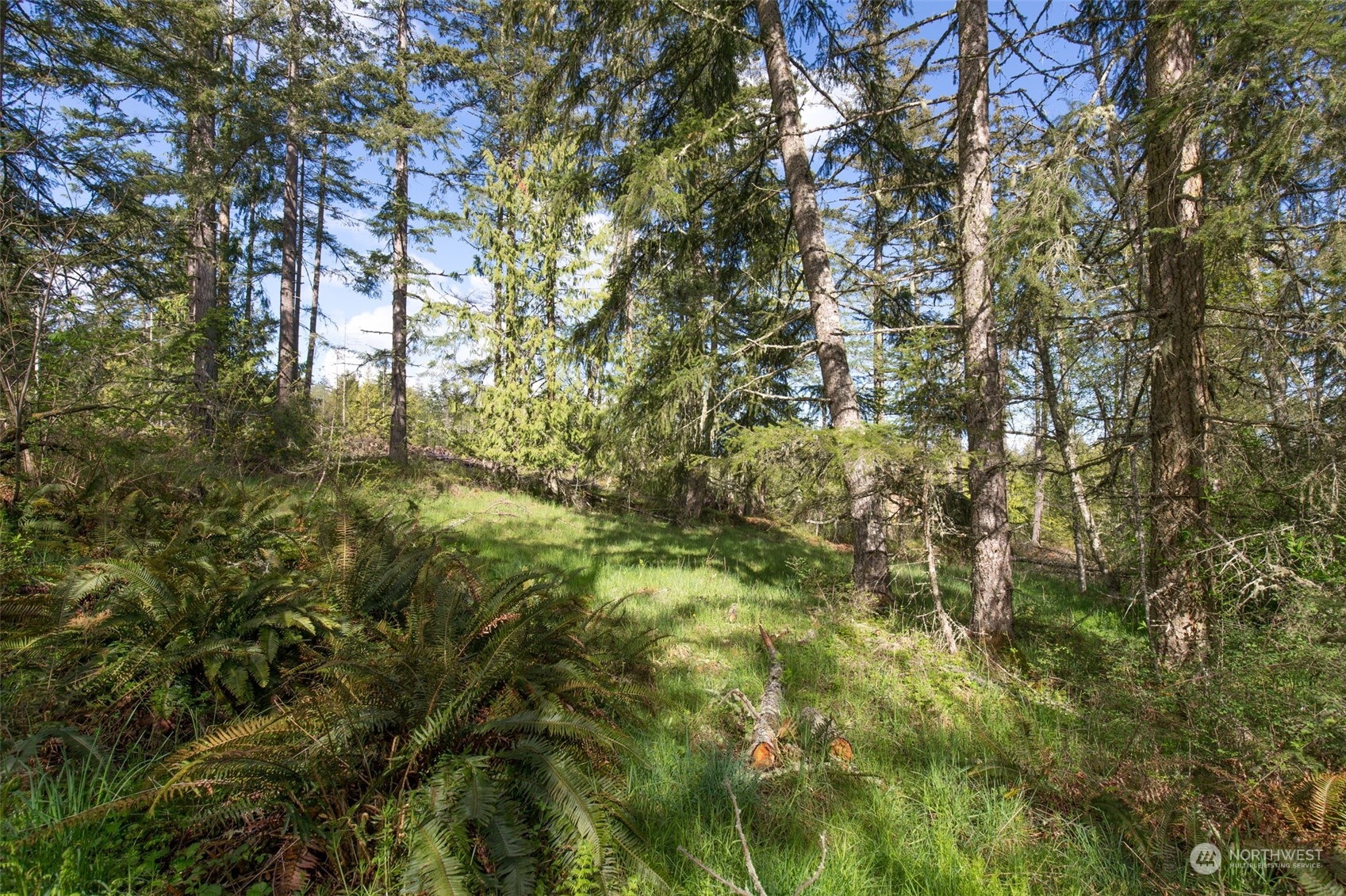 0 Harrington Road Property Photo 35
