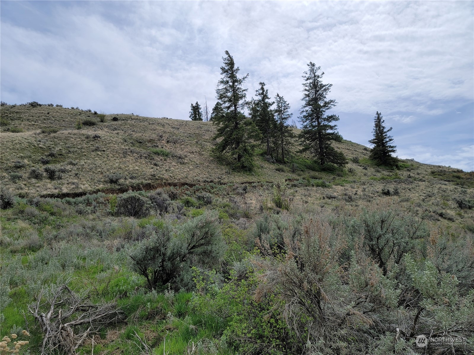 98 Tyee View Loop Rd Property Photo 1