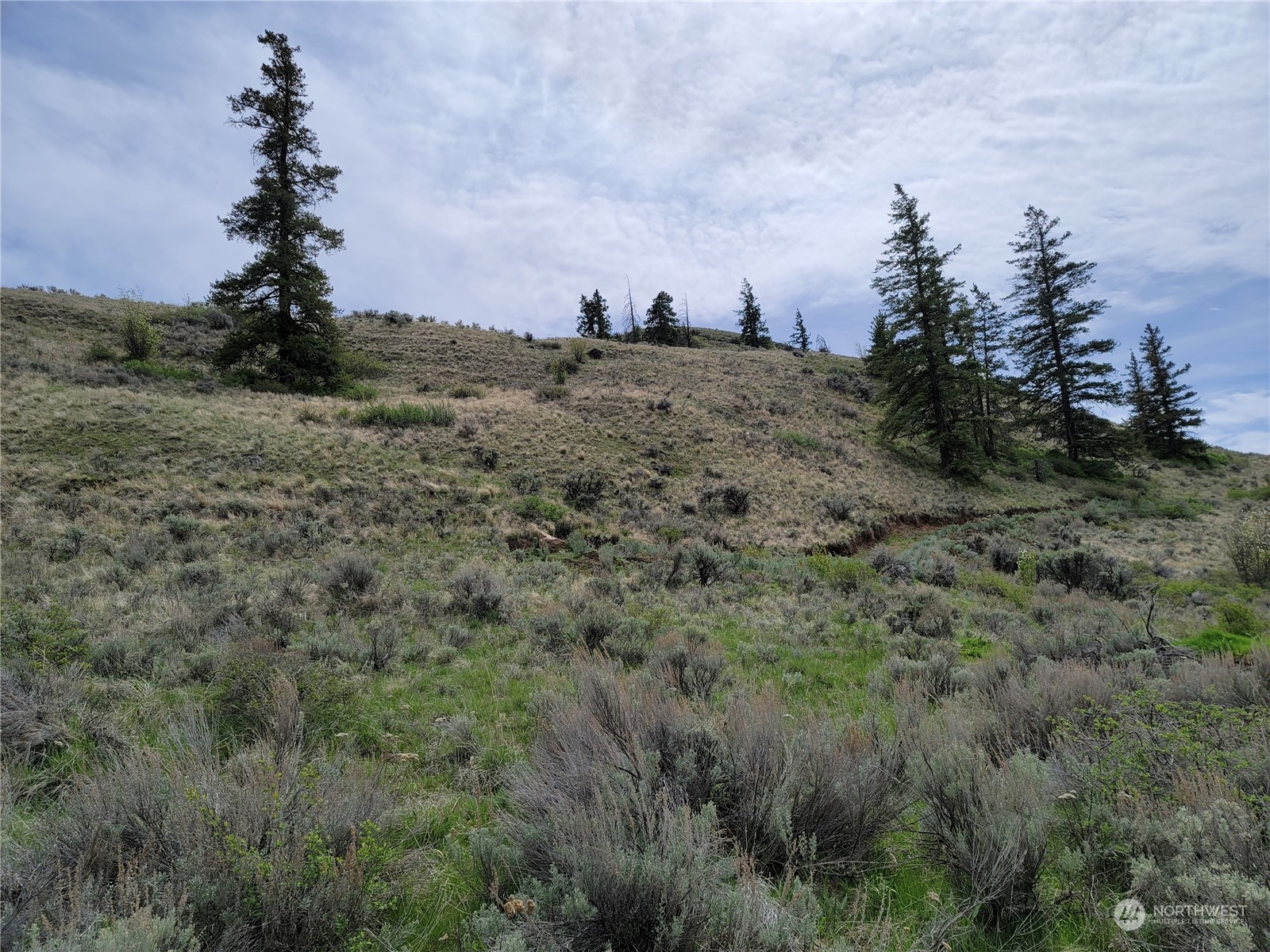 98 Tyee View Loop Rd Property Photo 2