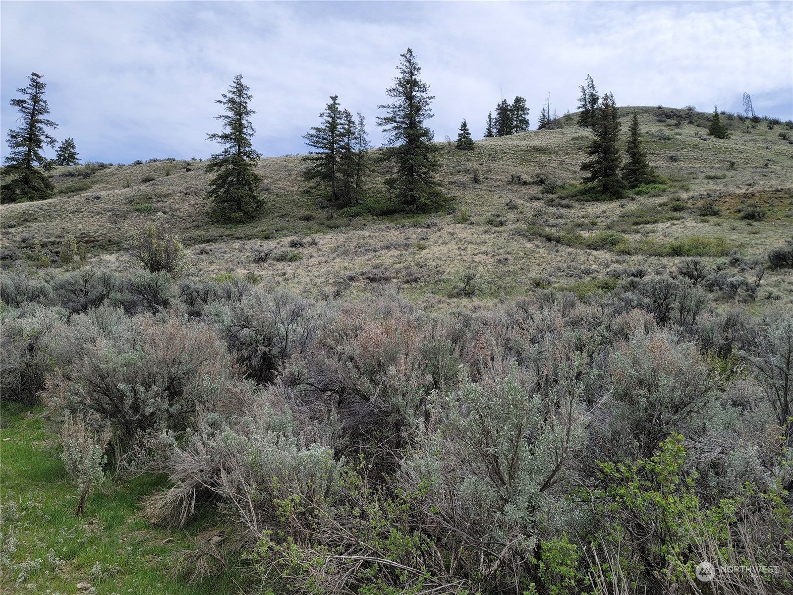 98 Tyee View Loop Rd Property Photo 3